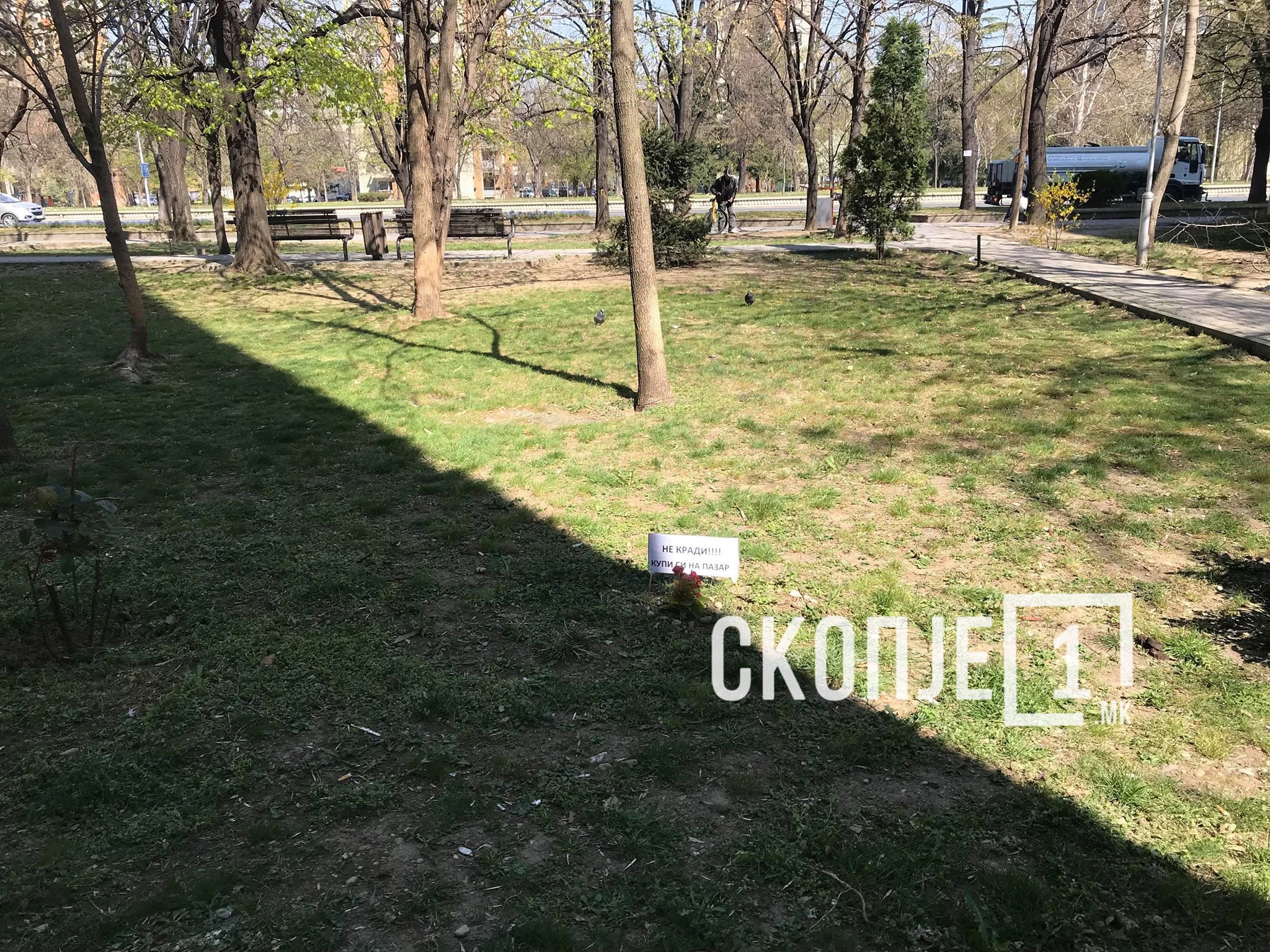 56213692_407360490054617_5790590069425307648_n