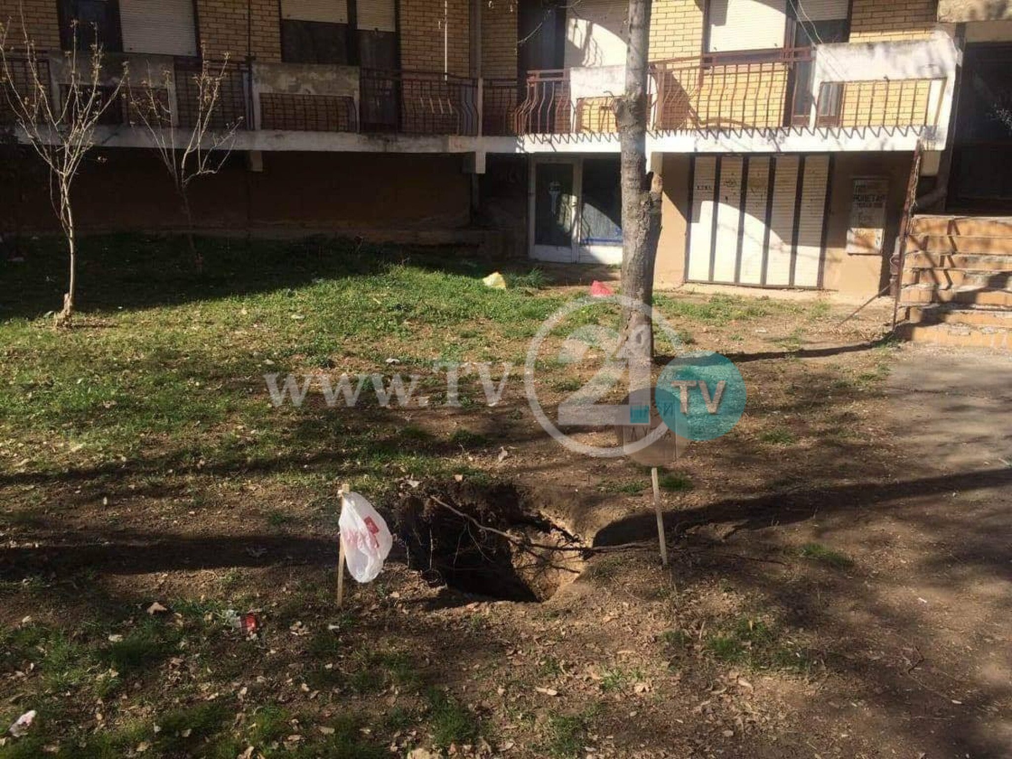 54730565_2152890388123300_7901557016416485376_o