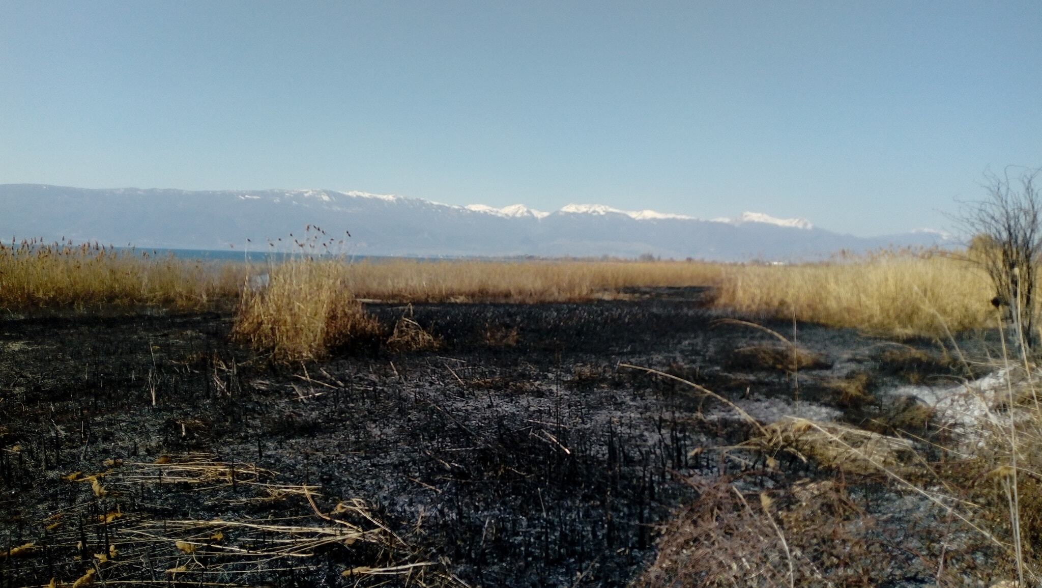 54727288_10213177053811090_4898476506793115648_o