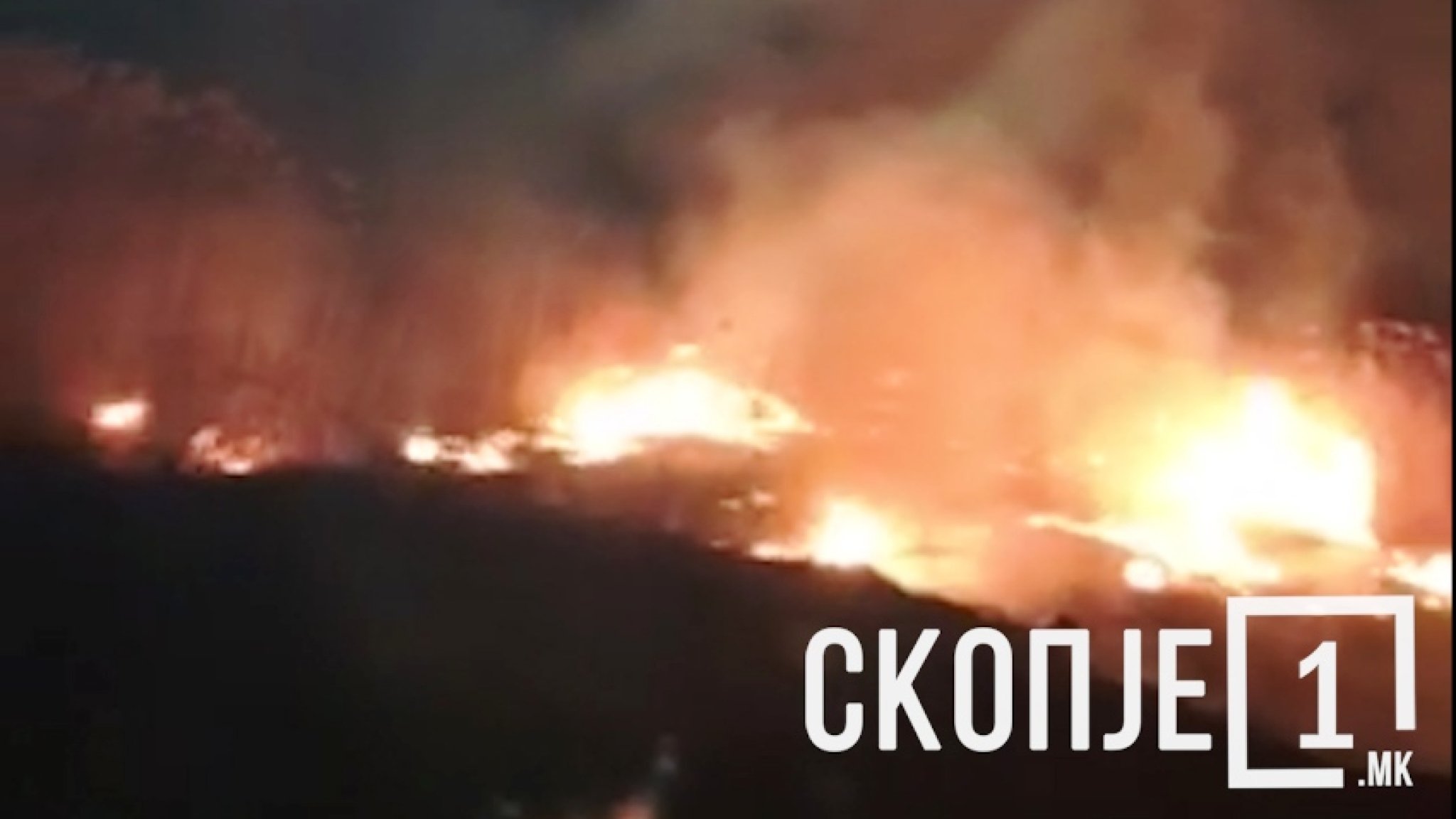 izjava-zaev.Still077-1