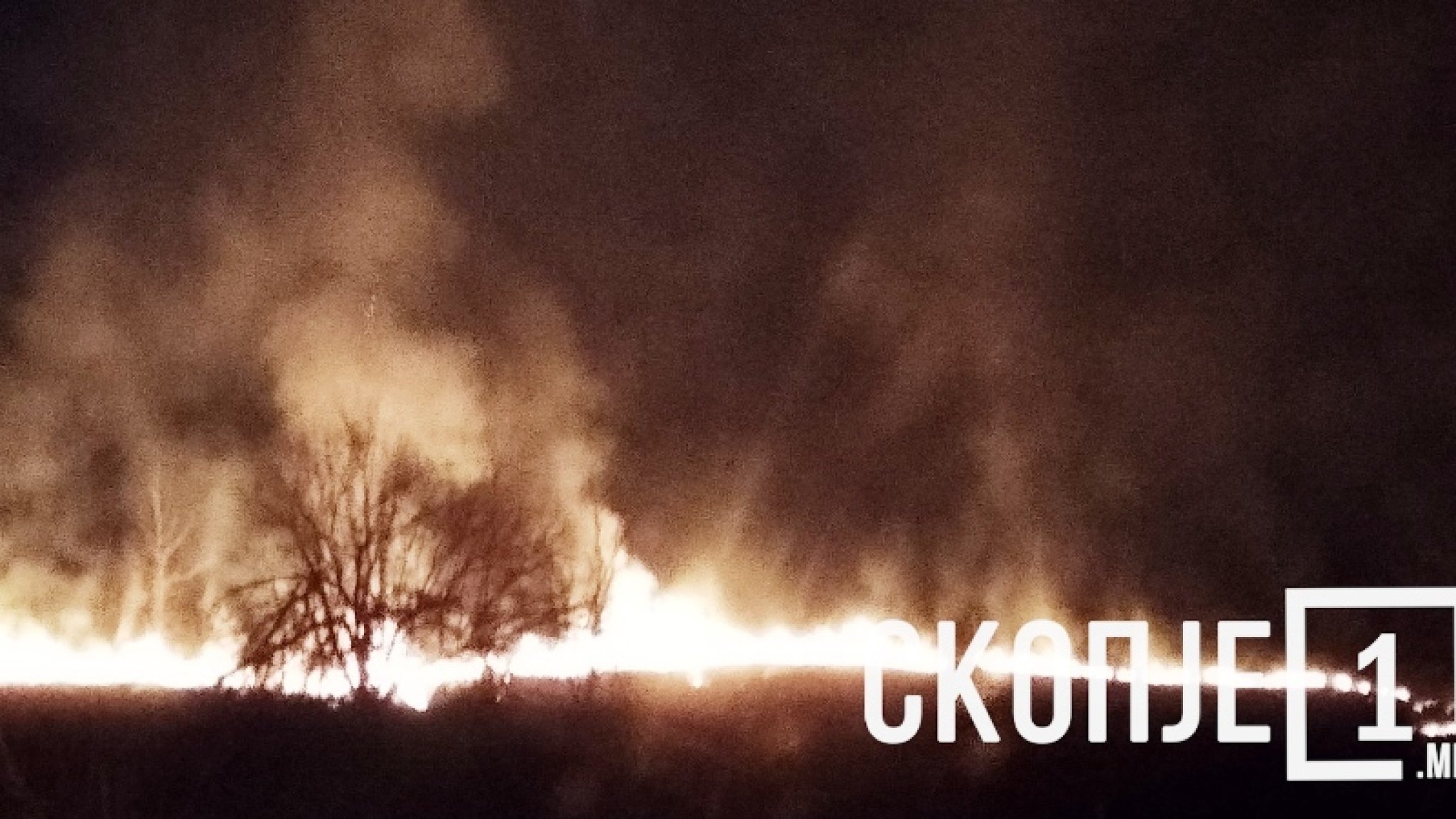 izjava-zaev.Still079