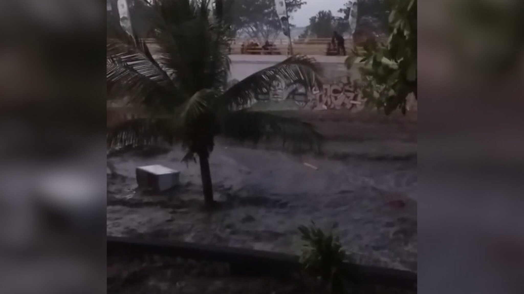 Cpdk9lMaHR0cDovL29jZG4uZXUvaW1hZ2VzL3B1bHNjbXMvTnpVN01EQV8vMDBmOWNmOTM2ZWMwM2QxM2FjNDVlNGExOGMyMjMyYjkuanBlZ5GTAs0C5ACBAAE