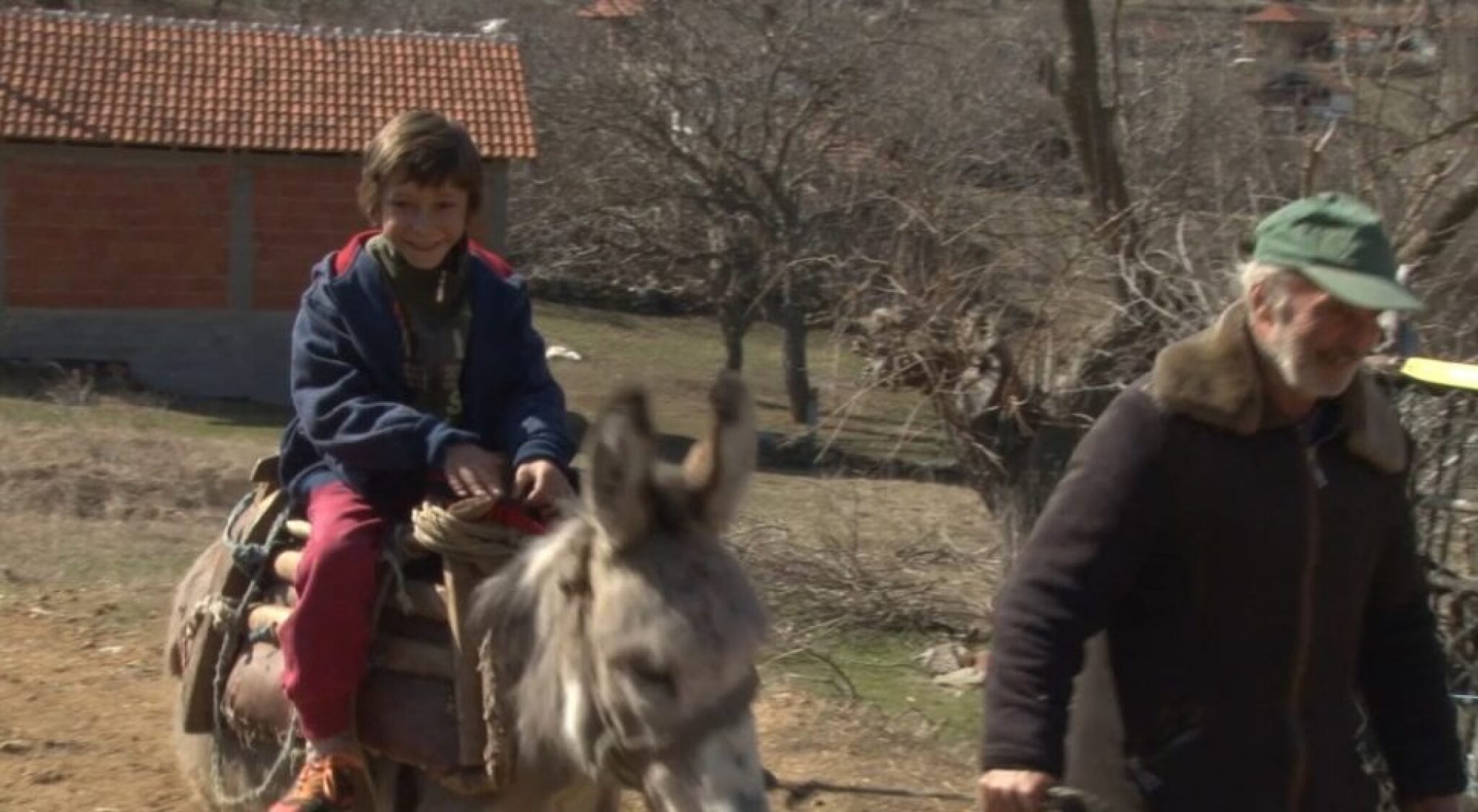 milos-na-magare-960x528-960x528-960x528