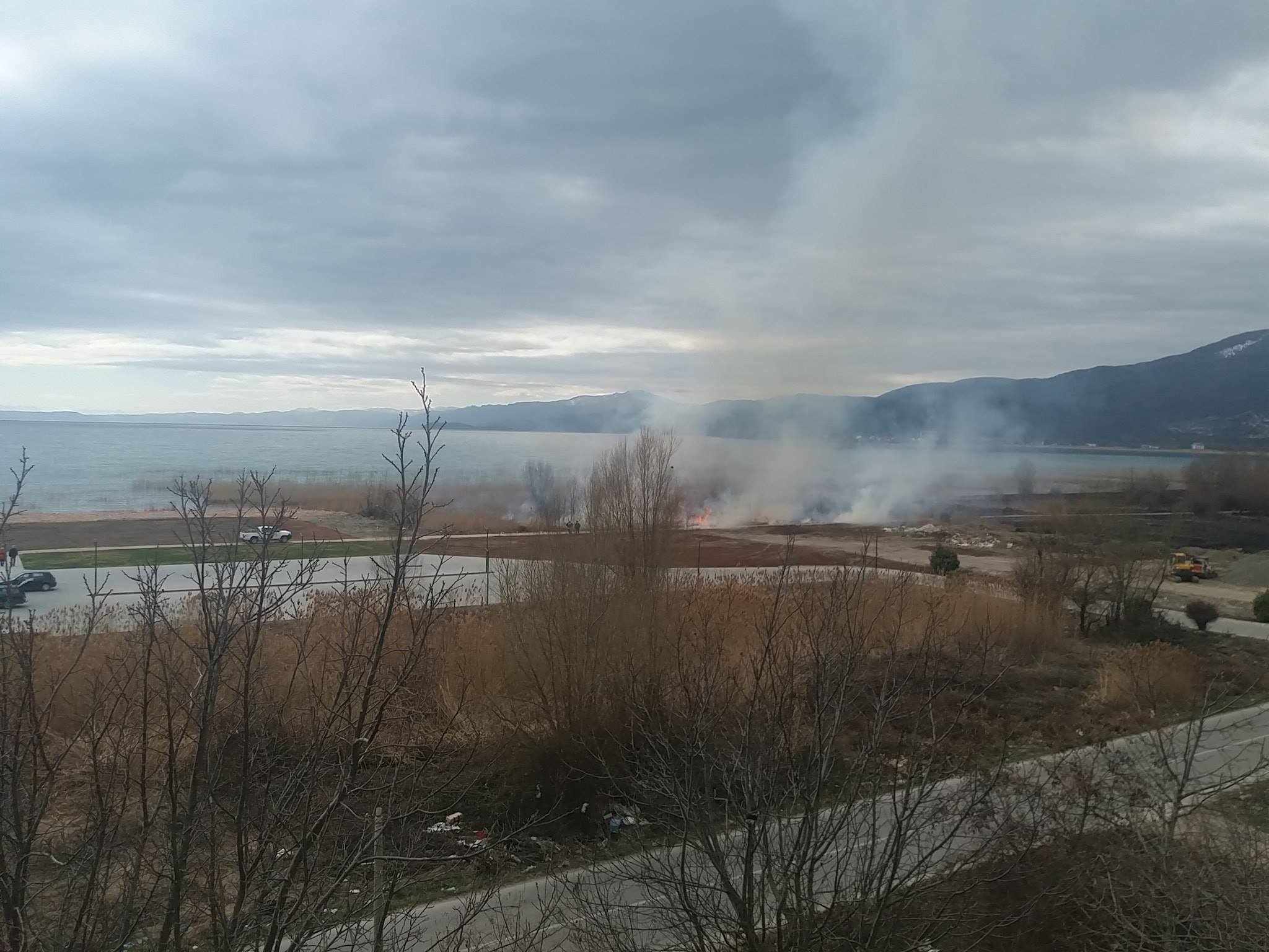 54434302_421341881958397_7802000421819514880_o