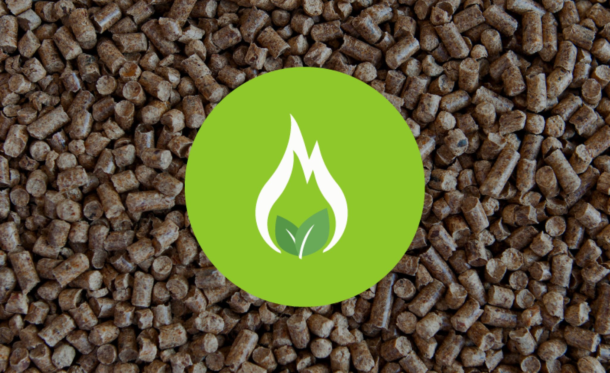 50597947_2170820389630828_7705726019755311104_n