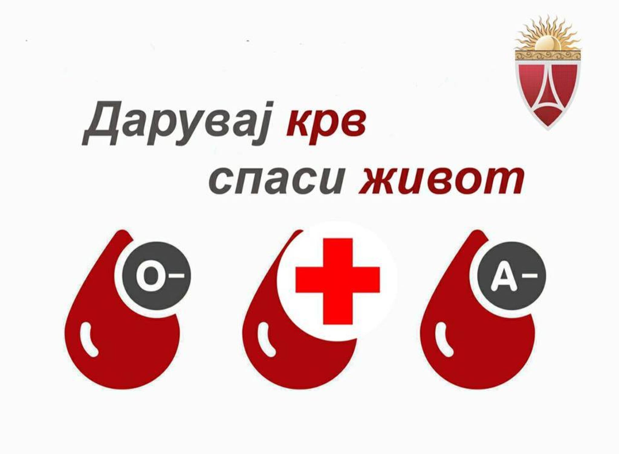 50876776_2325418810825542_4713286283017846784_n