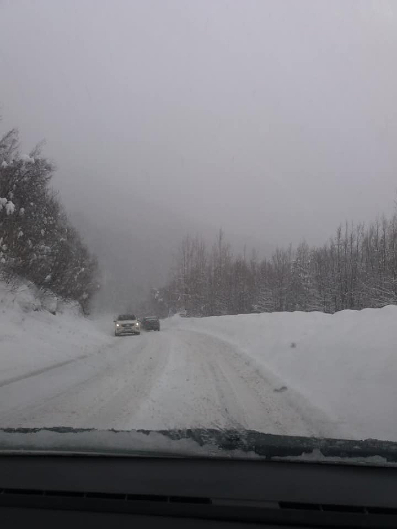 51293342_2147808928596026_9074887441109745664_n