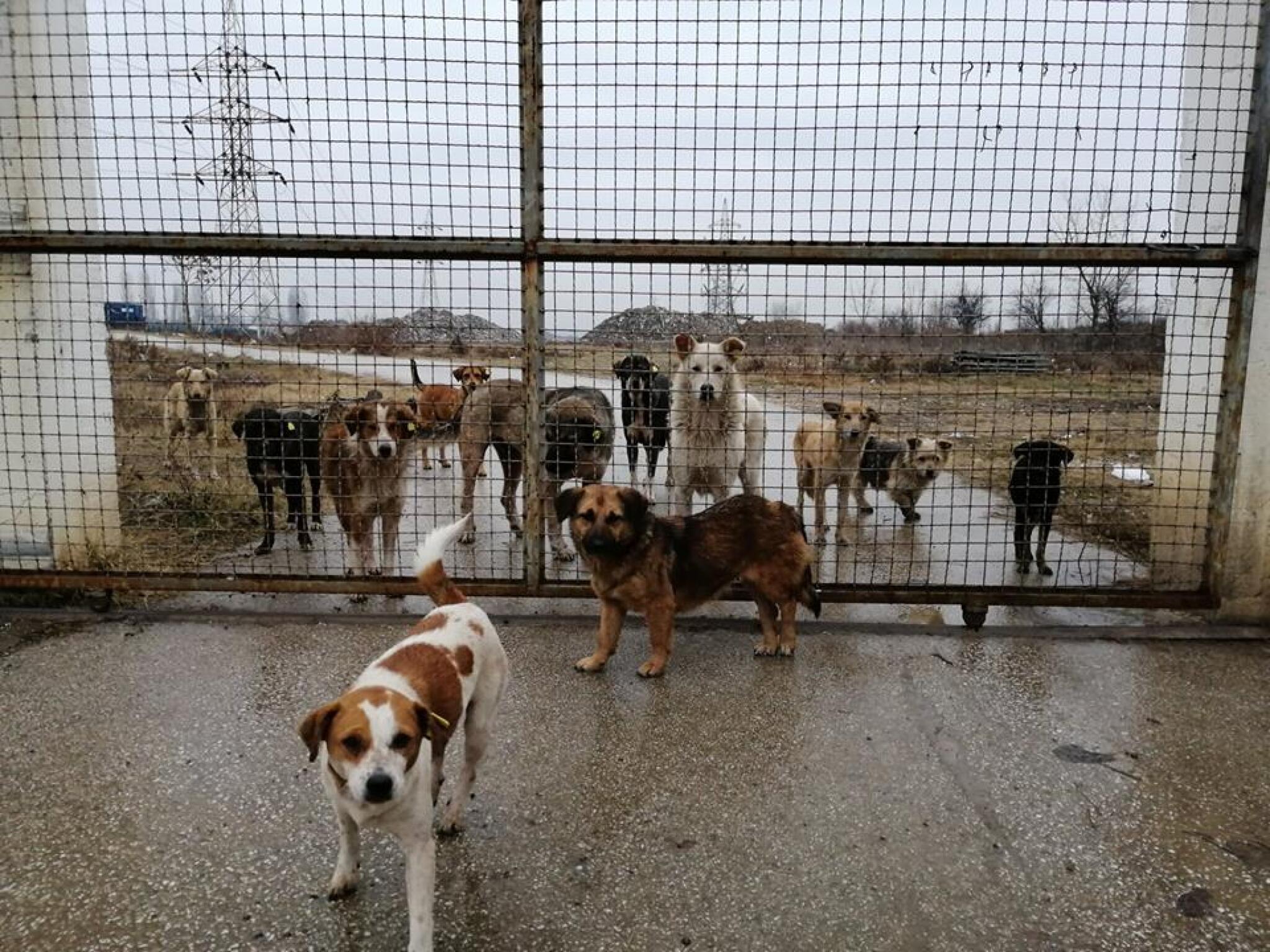 50280495_545016145966366_1008424579837722624_n