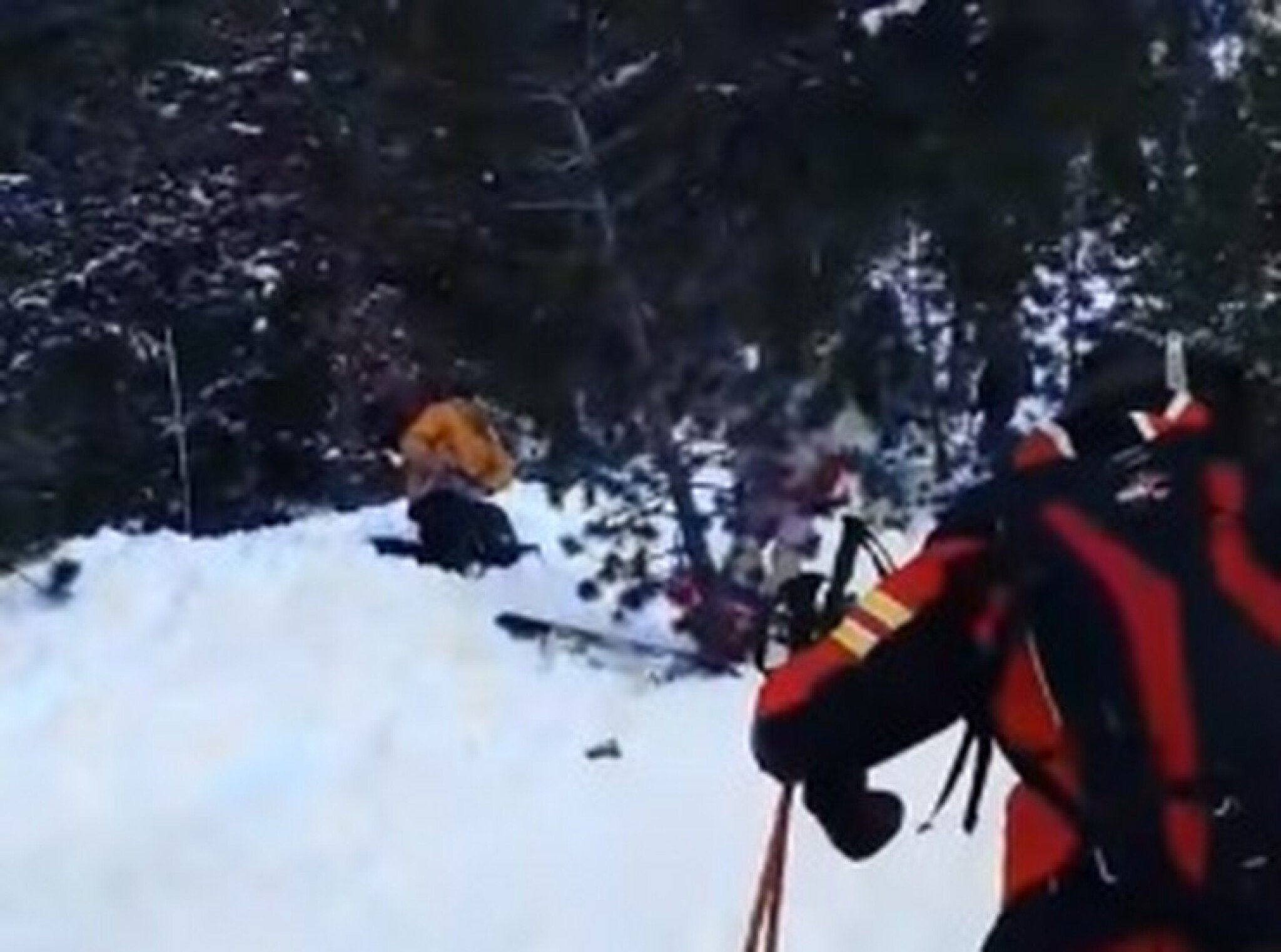 8e2k9lMaHR0cDovL29jZG4uZXUvaW1hZ2VzL3B1bHNjbXMvWTJZN01EQV8vMTYyMzhmODAzN2UwNDQ1OGNiZTRkZWQ2OTBkZDg1ZmMuanBlZ5GTAs0C5ACBoTAB