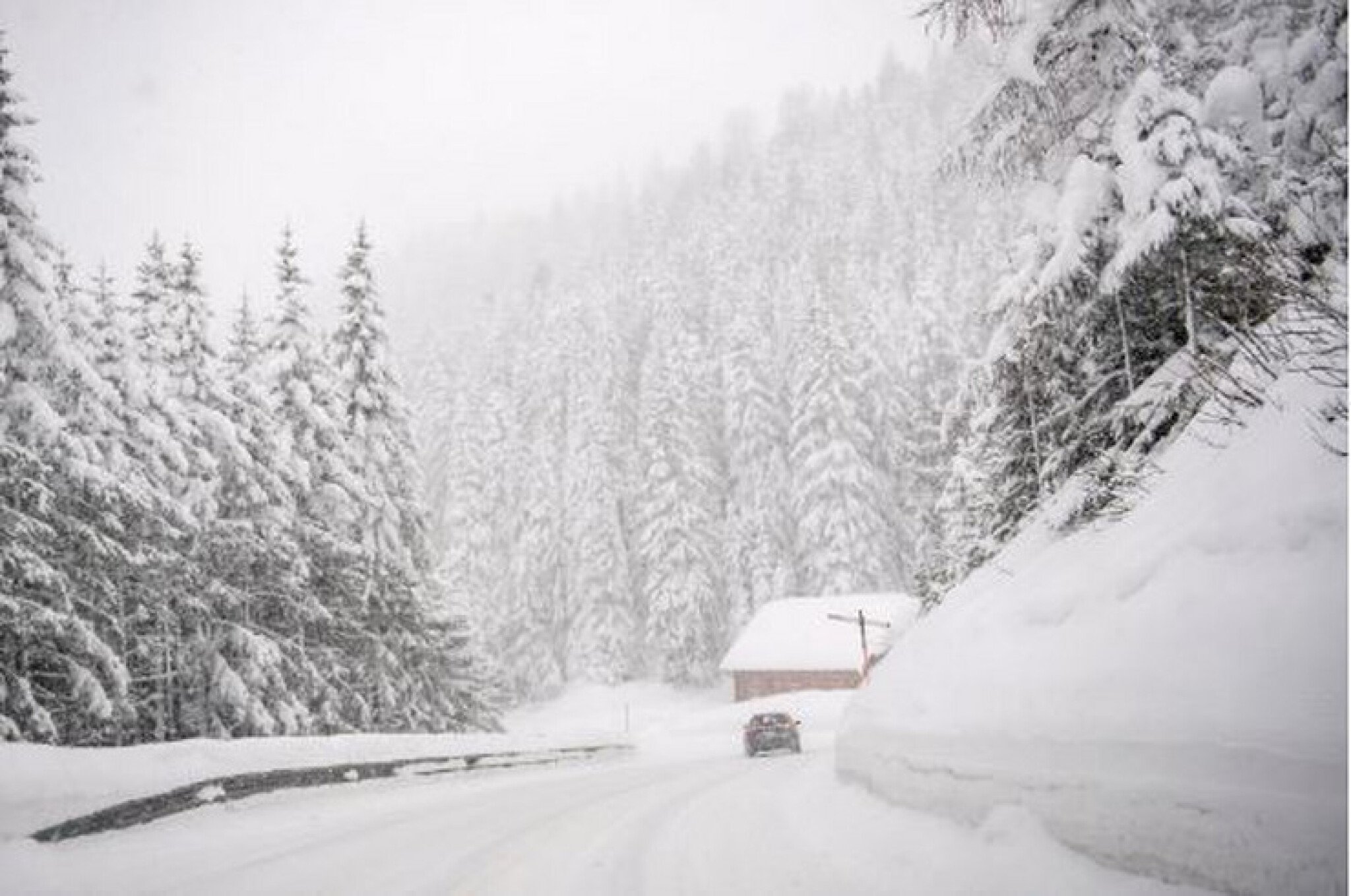 y5Pk9lMaHR0cDovL29jZG4uZXUvaW1hZ2VzL3B1bHNjbXMvTURJN01EQV8vY2FlZTFhNWMzNjM0OTVjM2QyZjQyM2VkMzY1NjVkYmEuanBlZ5GTAs0C5ACBoTAB