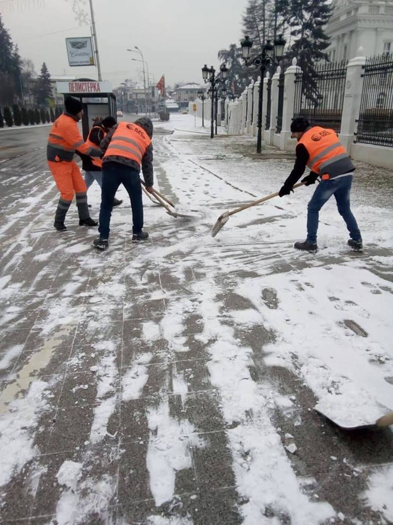 49937872_347243082793109_4280404148525989888_n