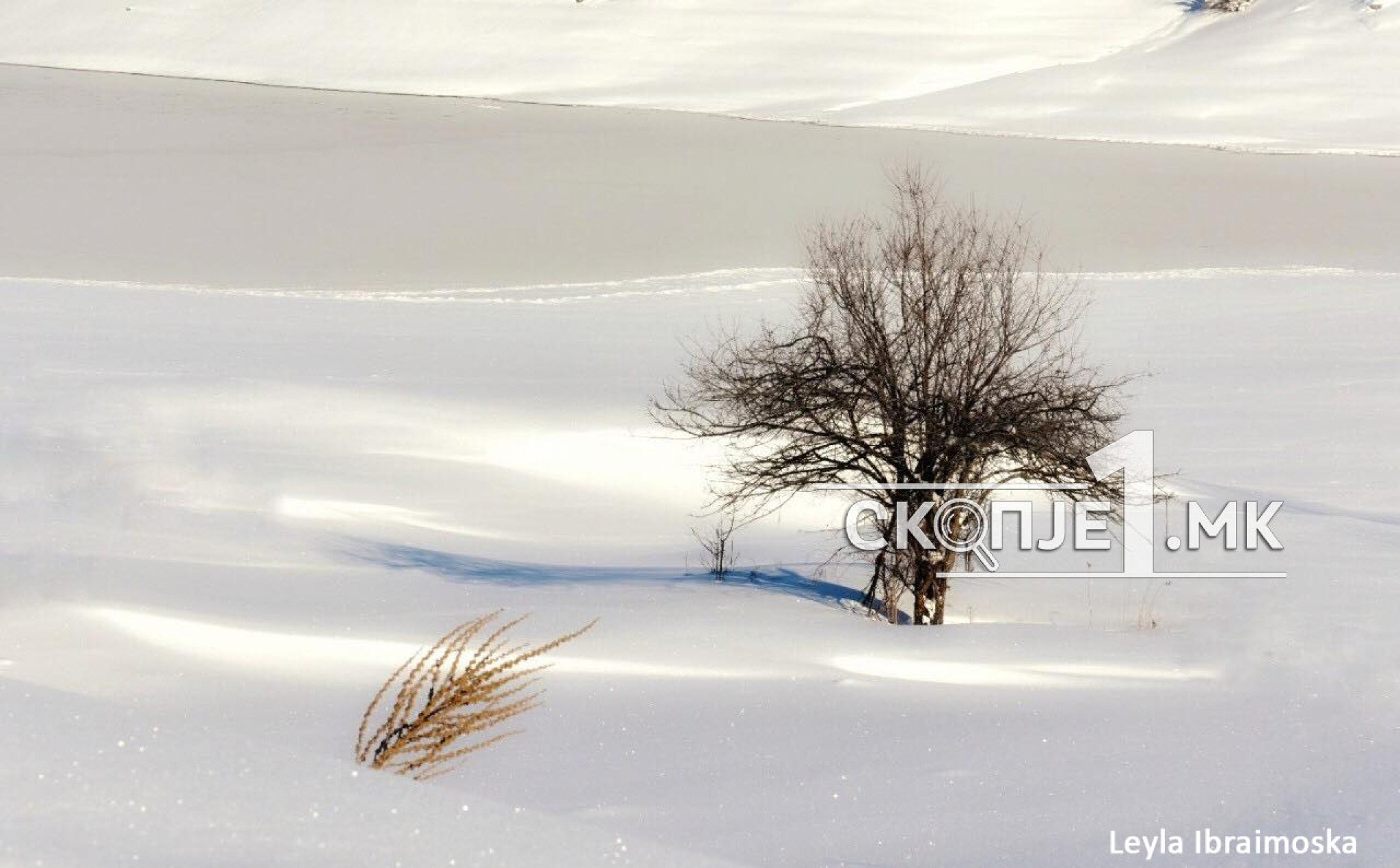 49337458_343183169847022_3969789124382031872_n