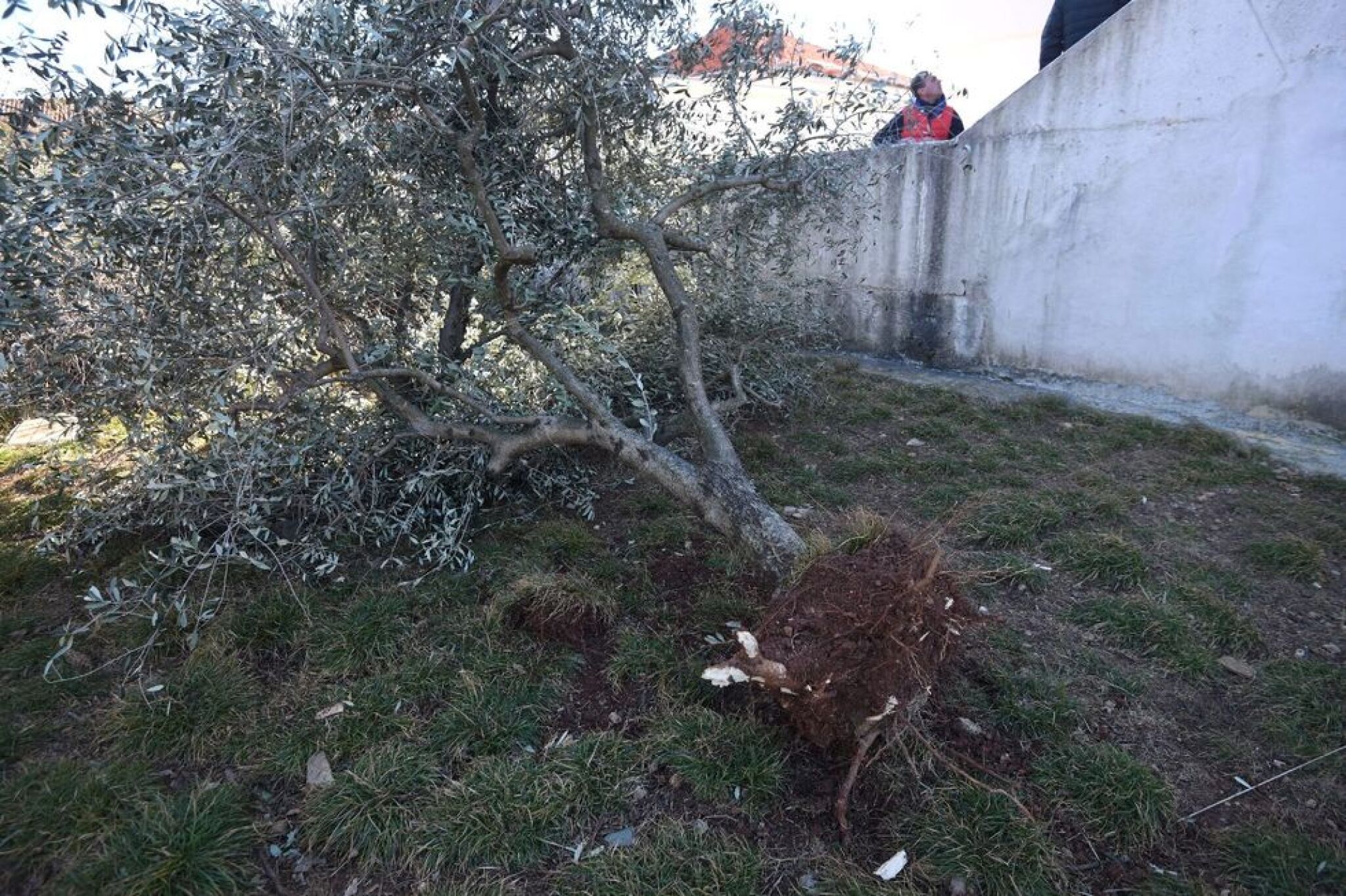 posedarje_bura4-030119