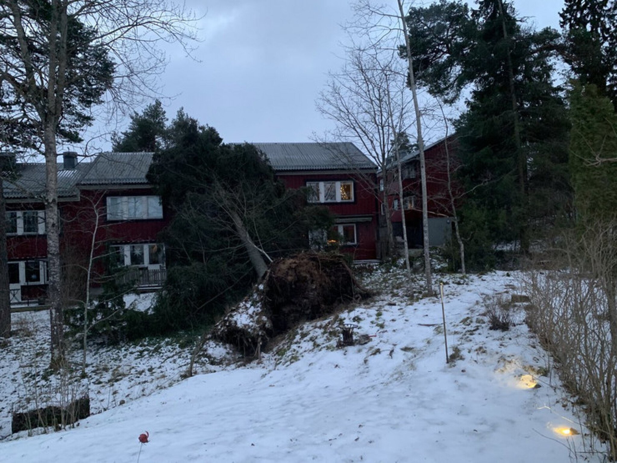 lWgk9lMaHR0cDovL29jZG4uZXUvaW1hZ2VzL3B1bHNjbXMvT1RRN01EQV8vZThlZWZhZDY3YTA0ZjlmZTliOGVhZjk2ZTM4YWFjYjEuanBlZ5GTAs0C5ACBoTAB