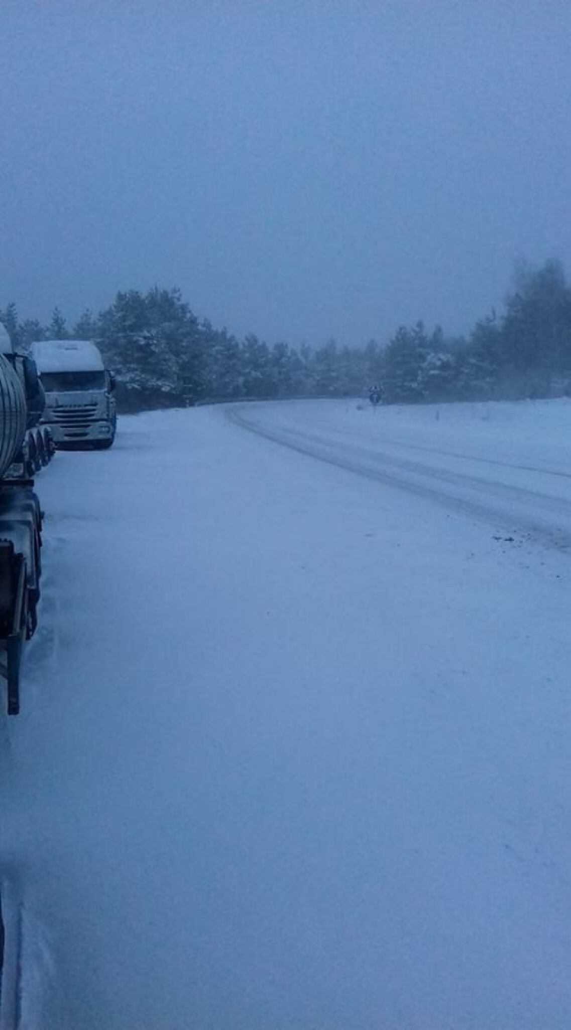 49140137_1046149632257509_3415473575644102656_n