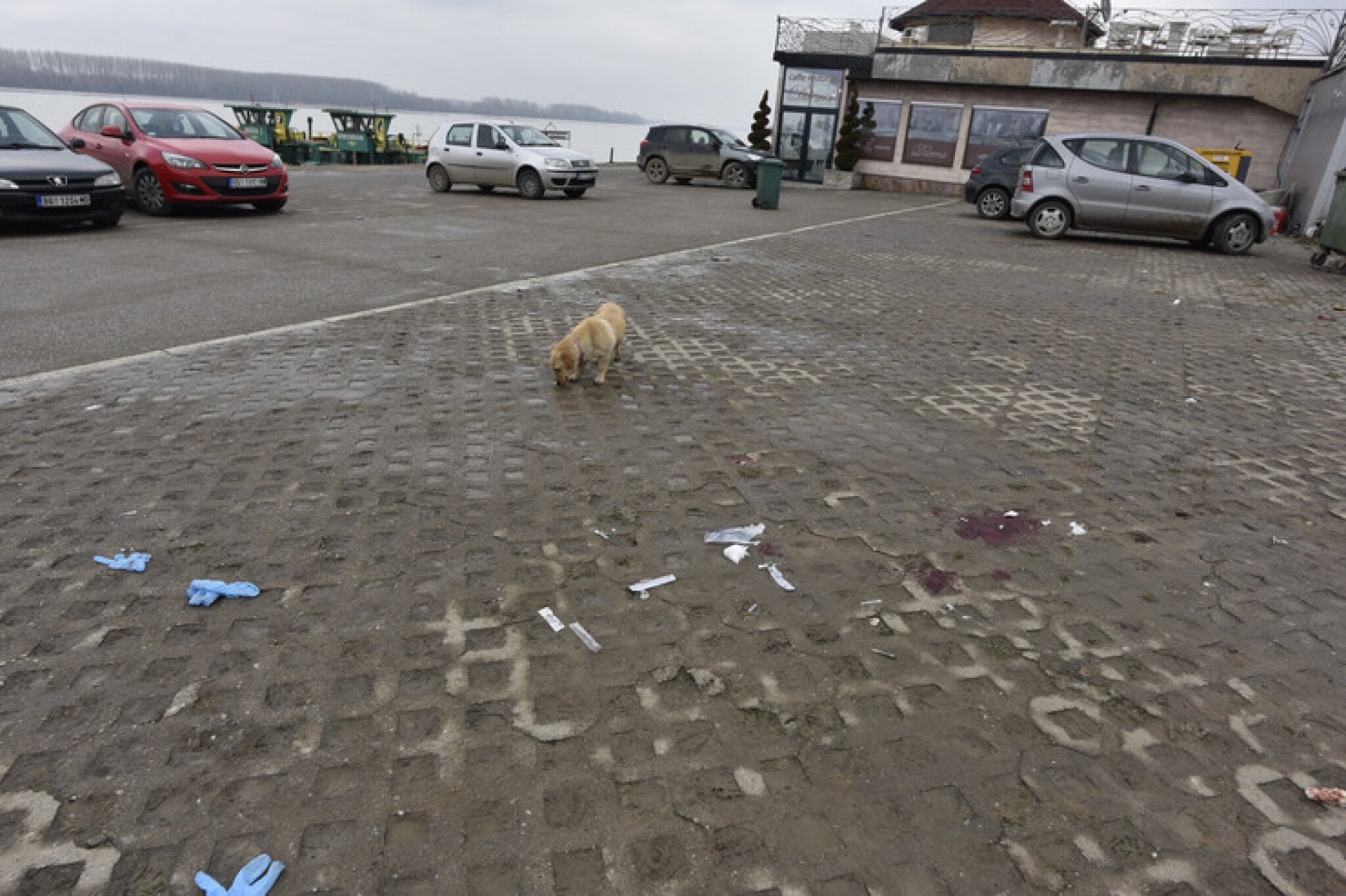 A4Qk9lMaHR0cDovL29jZG4uZXUvaW1hZ2VzL3B1bHNjbXMvTUdRN01EQV8vZmQ1ZmY0NDllYTQzOTVlZmM0MDNjM2U1NDBmZWJjZjguanBlZ5GTAs0C5ACBoTAB