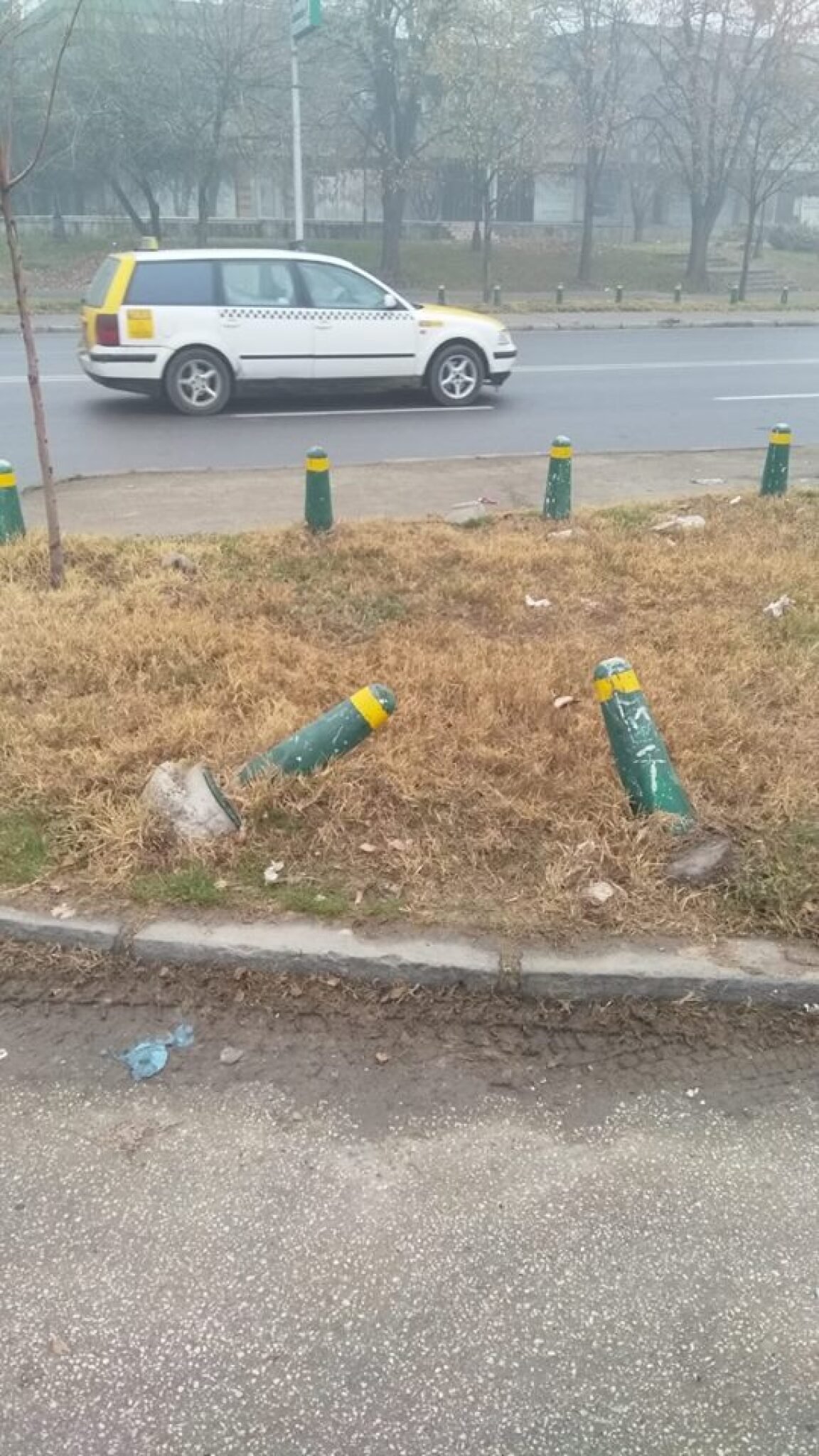 49055064_2124722477573953_3485600500278099968_n