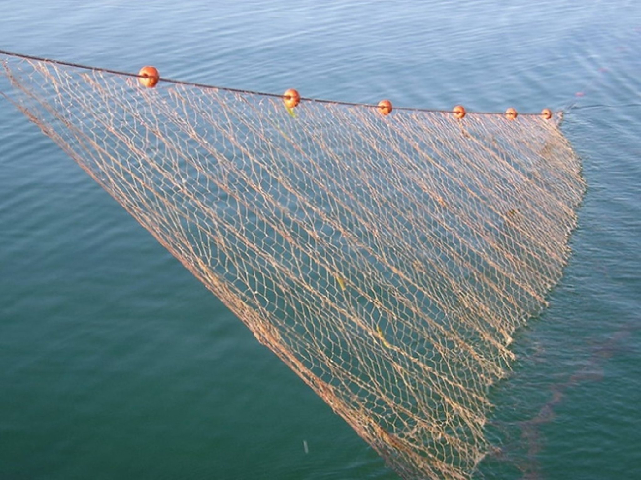 zapleneti-stotina-metri-ribarski-mrezhi-229465