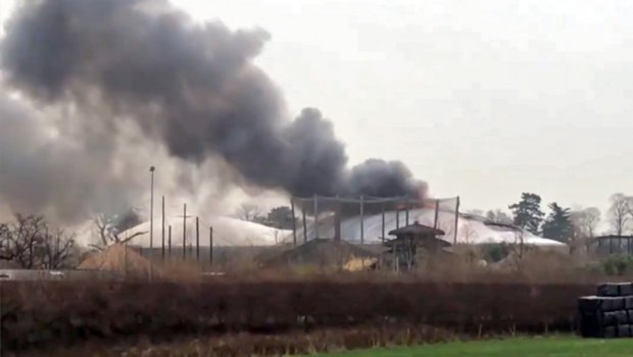 zooloski-vrt-620x350