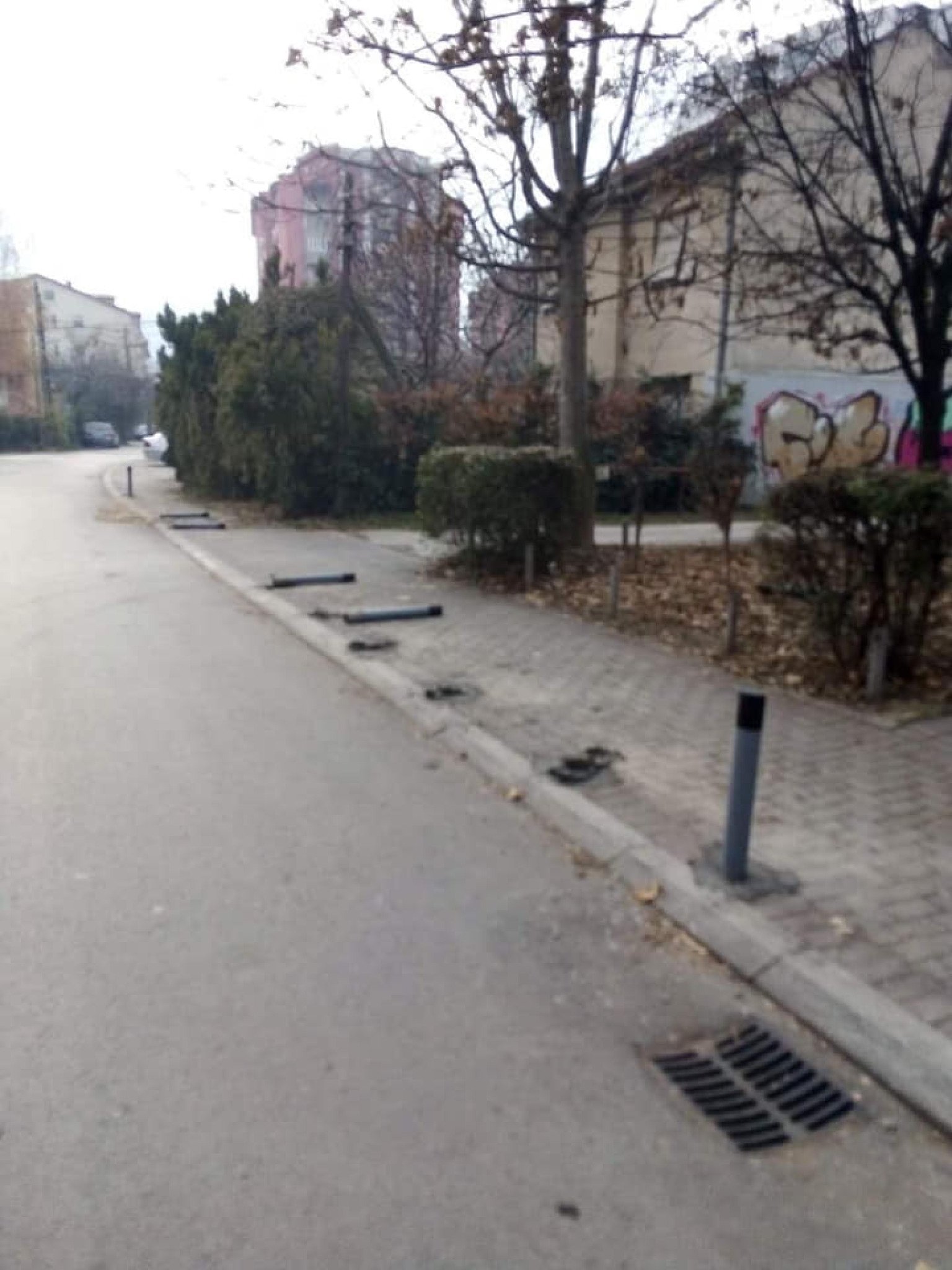 47686021_10155485745366706_1027285271588110336_n