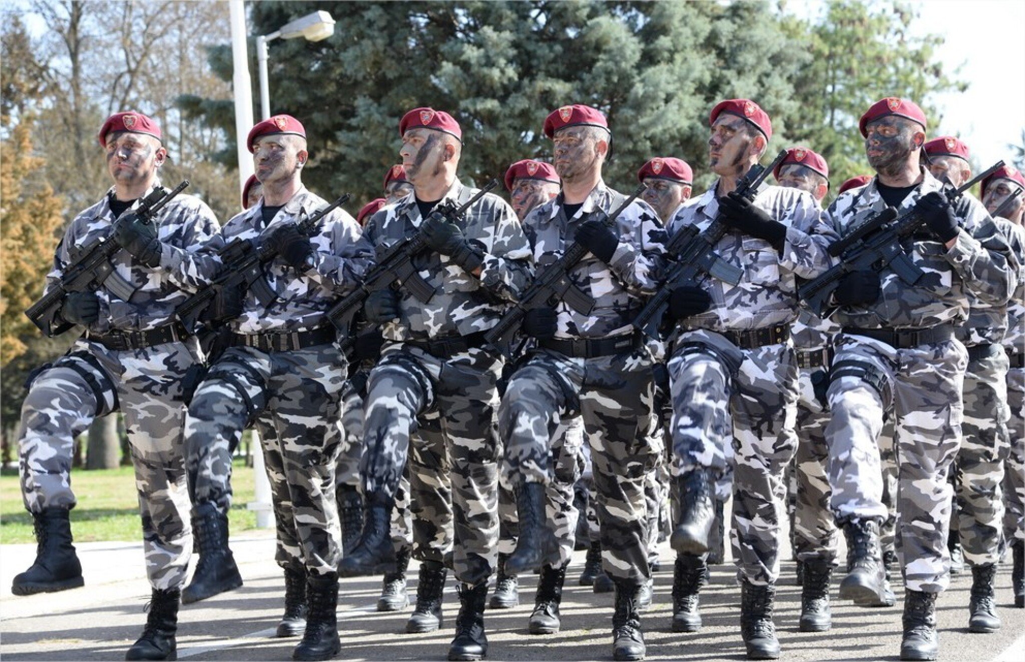 22-years-have-been-marked-since-the-forming-of-the-Special-Forces-in-the-ARM-Google-Chrome