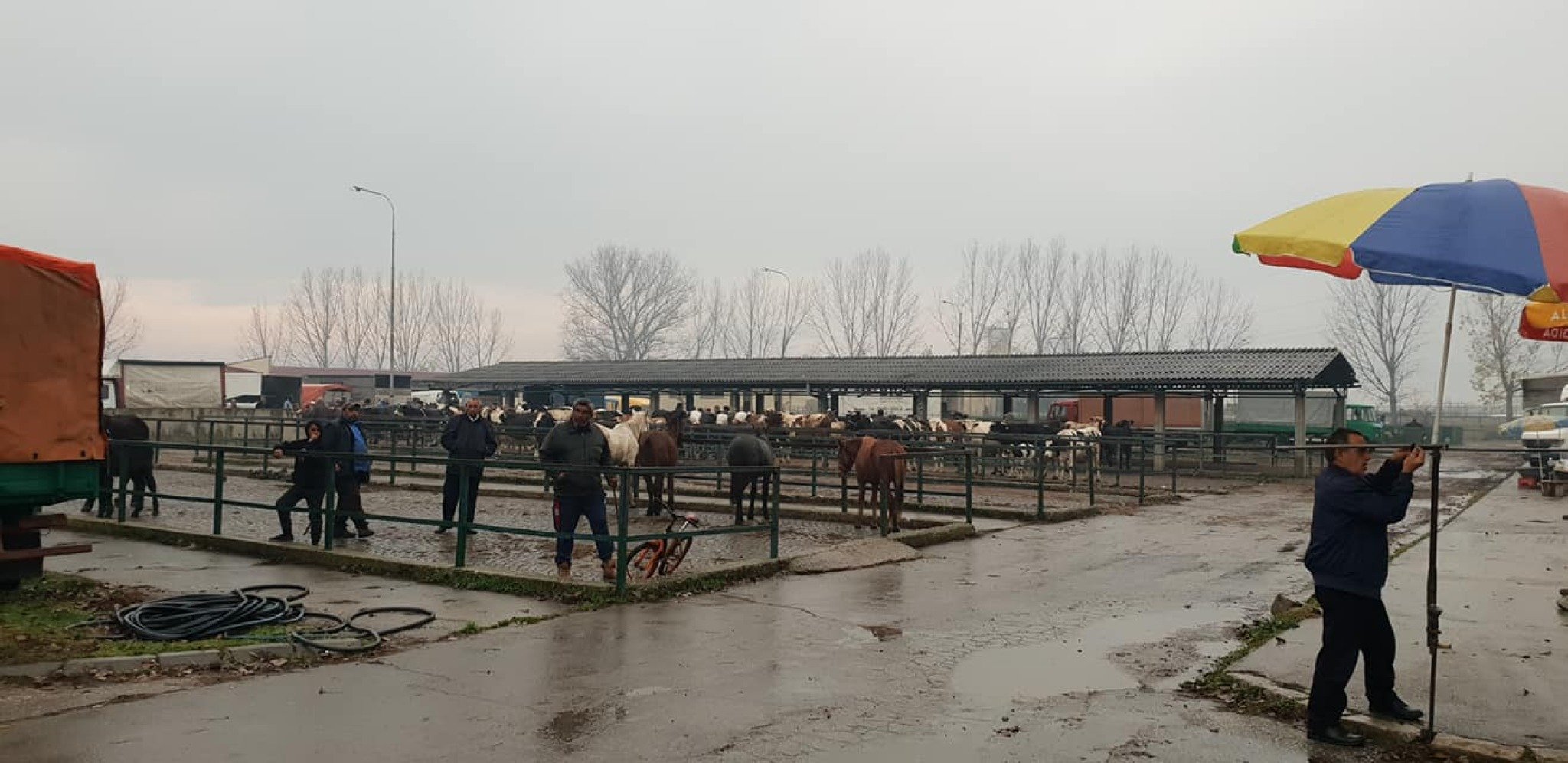 46954050_397406447469435_7066080440192335872_o