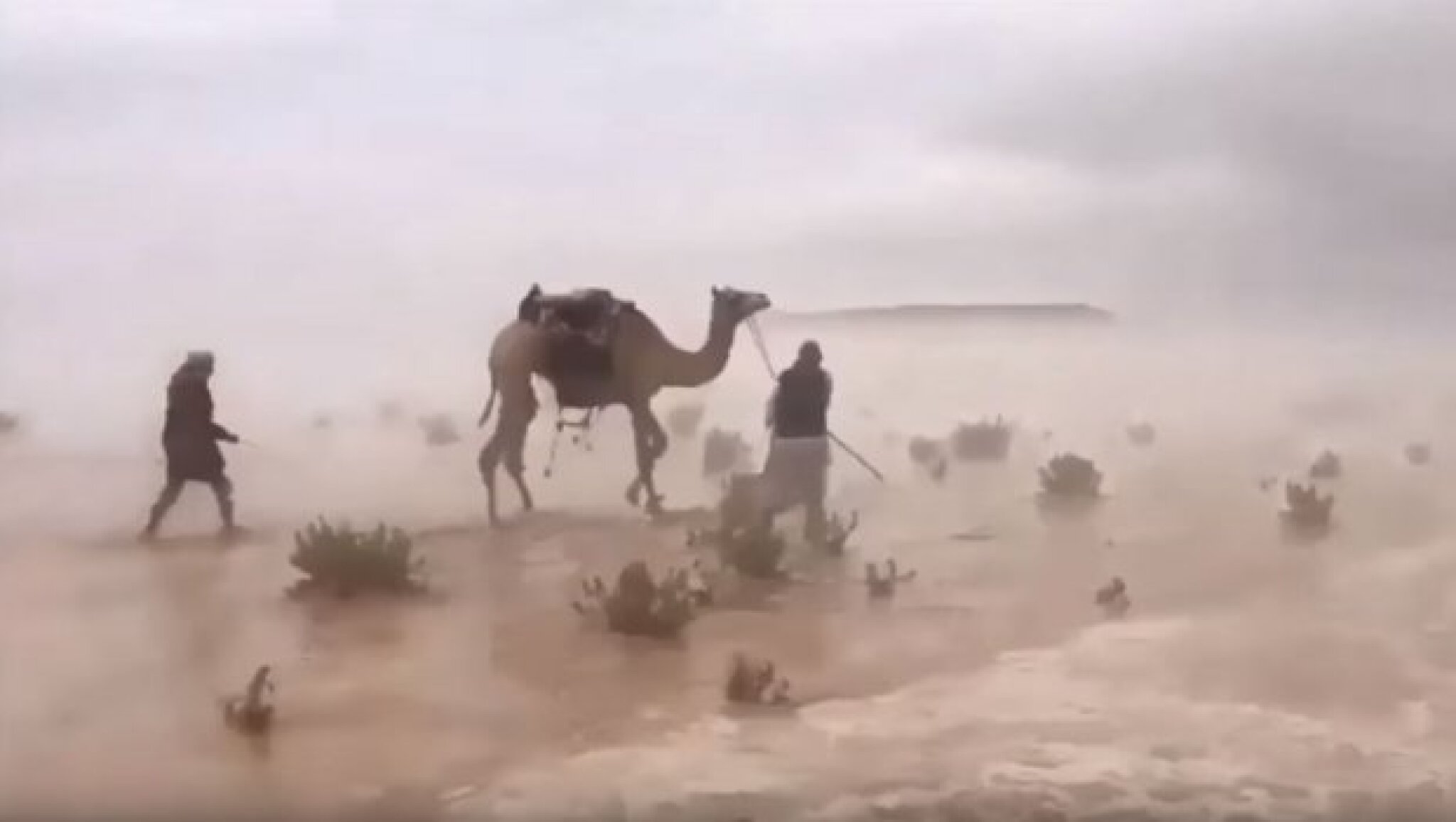 saudijska-arabija-620x350