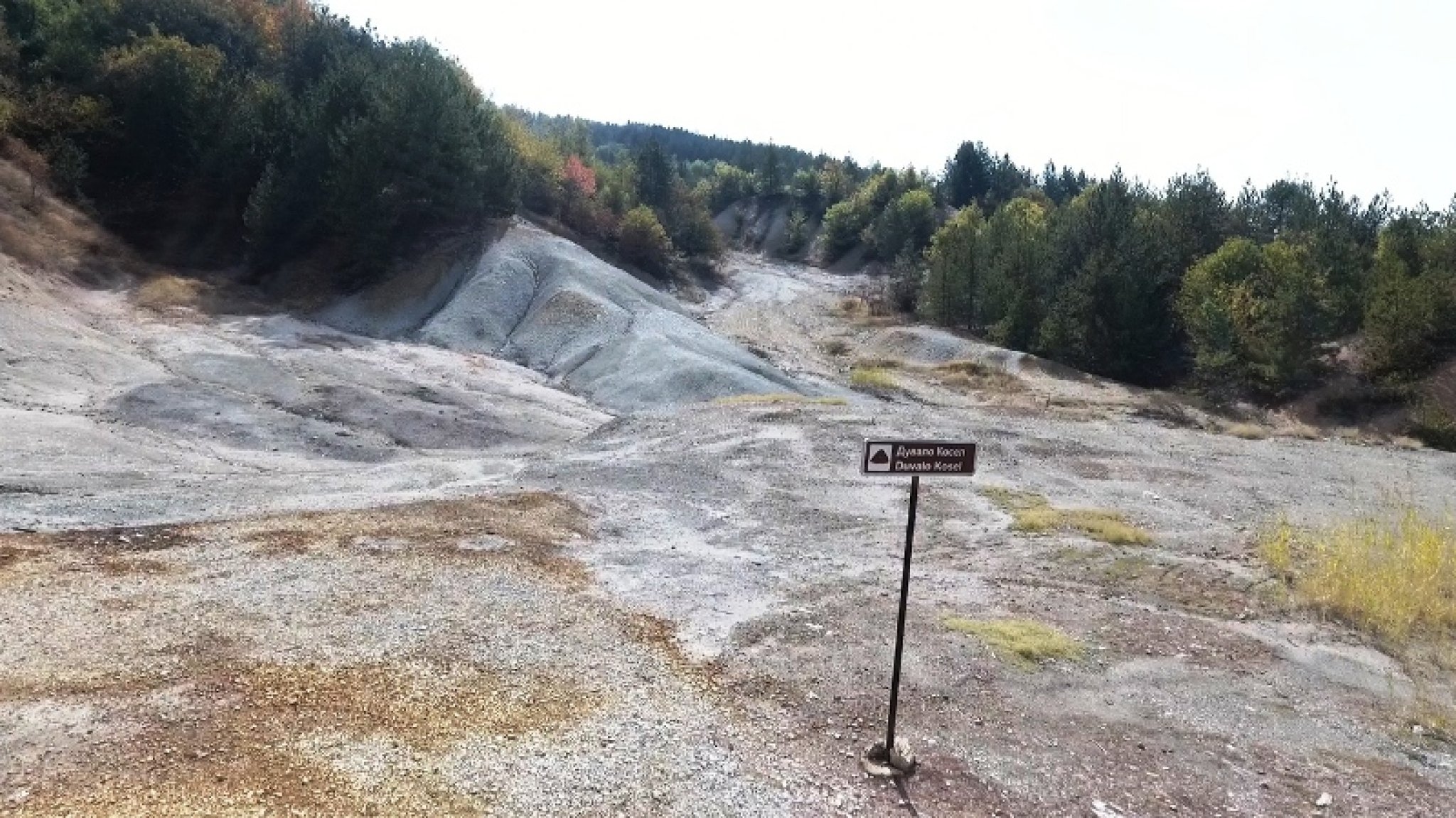 Sequence-01.Still012