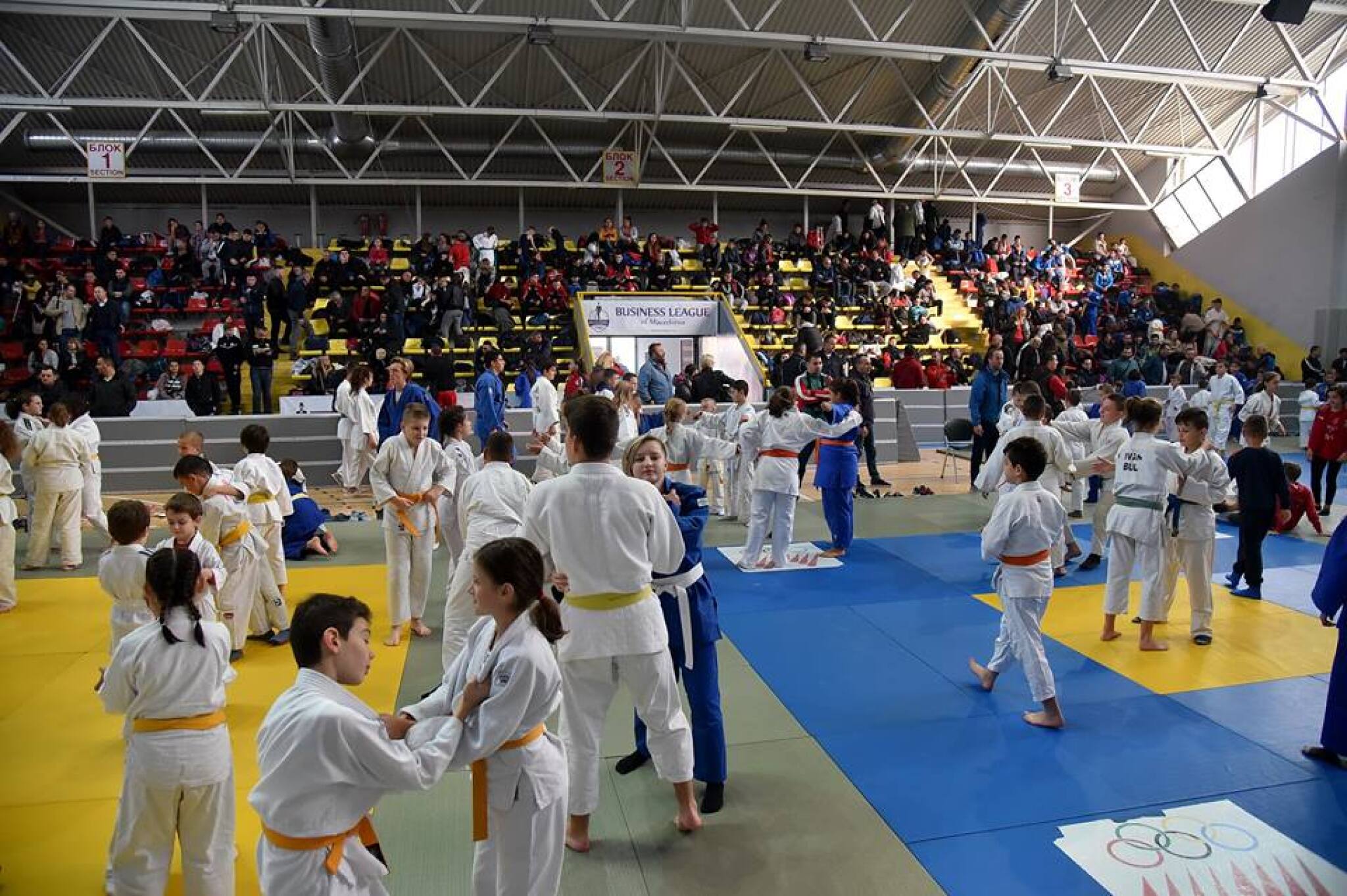 45864742_2062001677179367_7544863057680269312_n