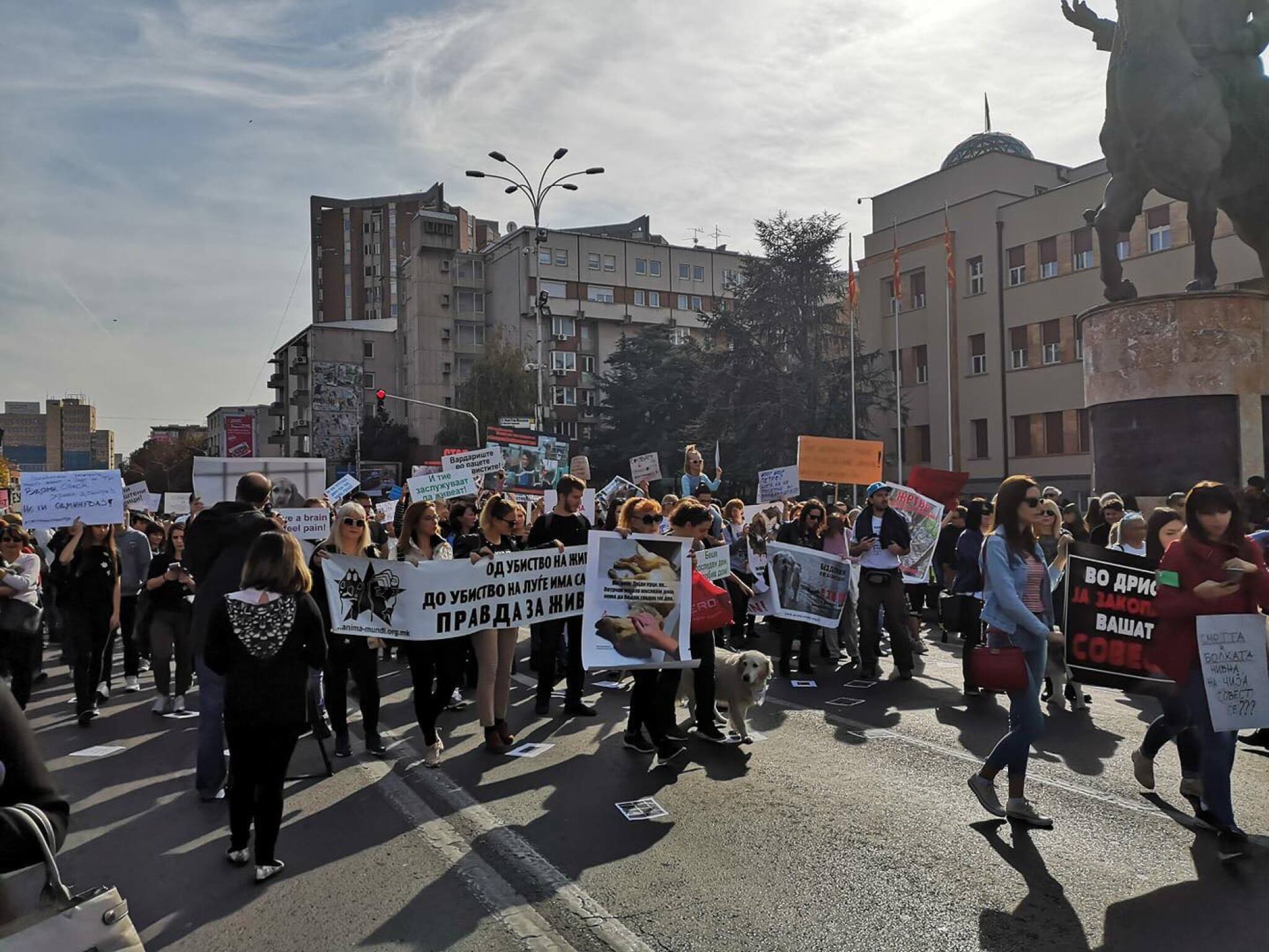 45313817_295330954417777_6788453651099680768_n