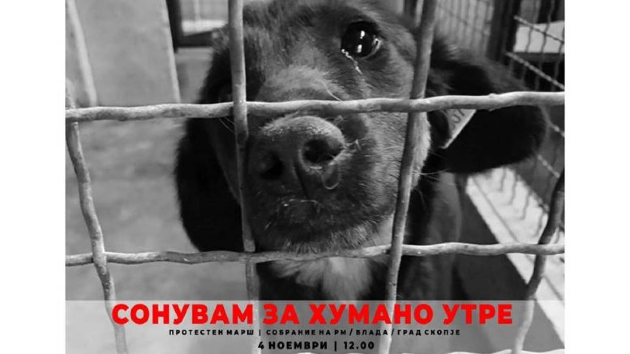 9EA95CBE-1CB1-4E25-9553-7794A7E13427