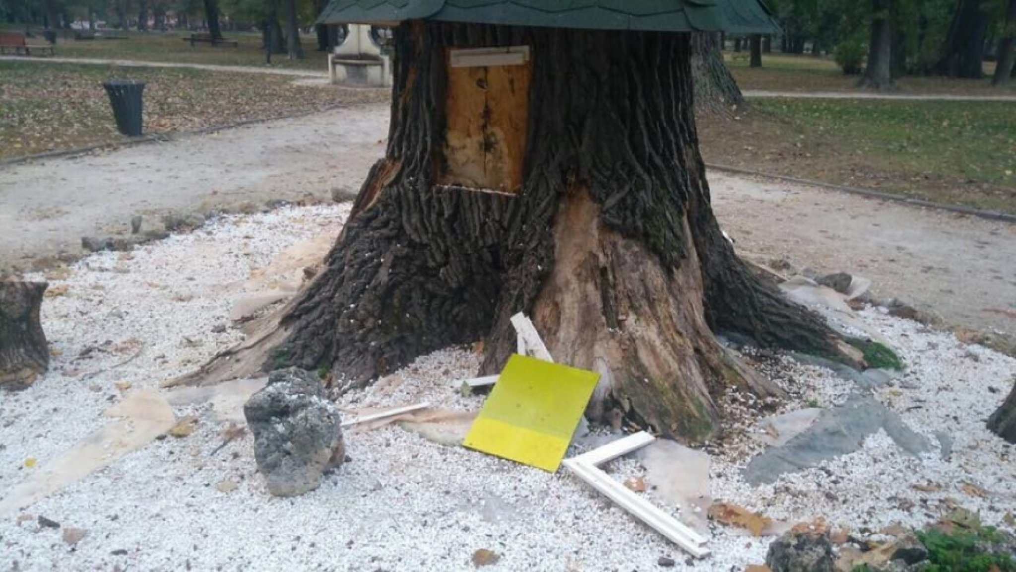 44950346_2725611124330135_820343014143557632_n