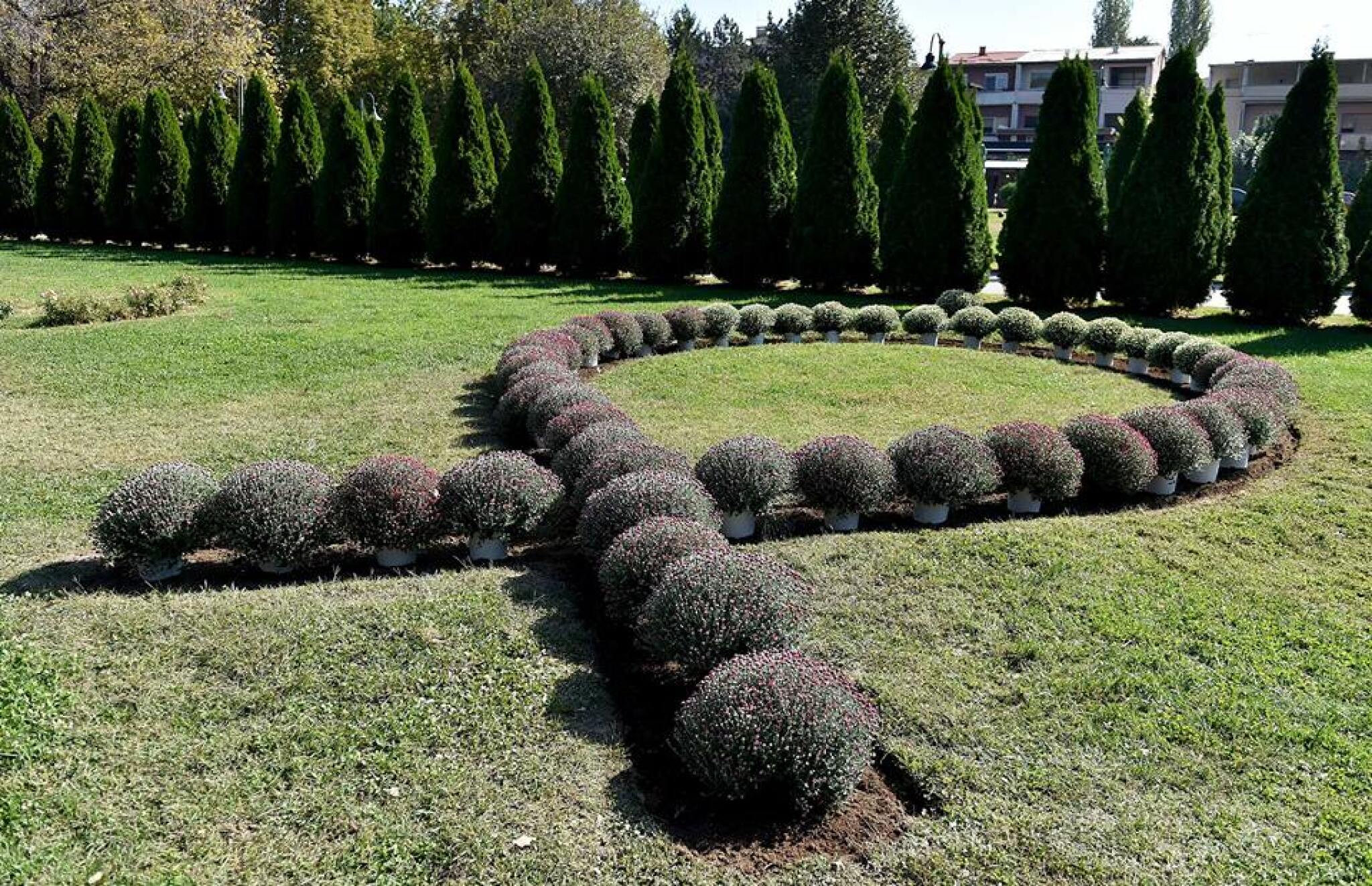 43655127_2015503968495805_1958246645908897792_n