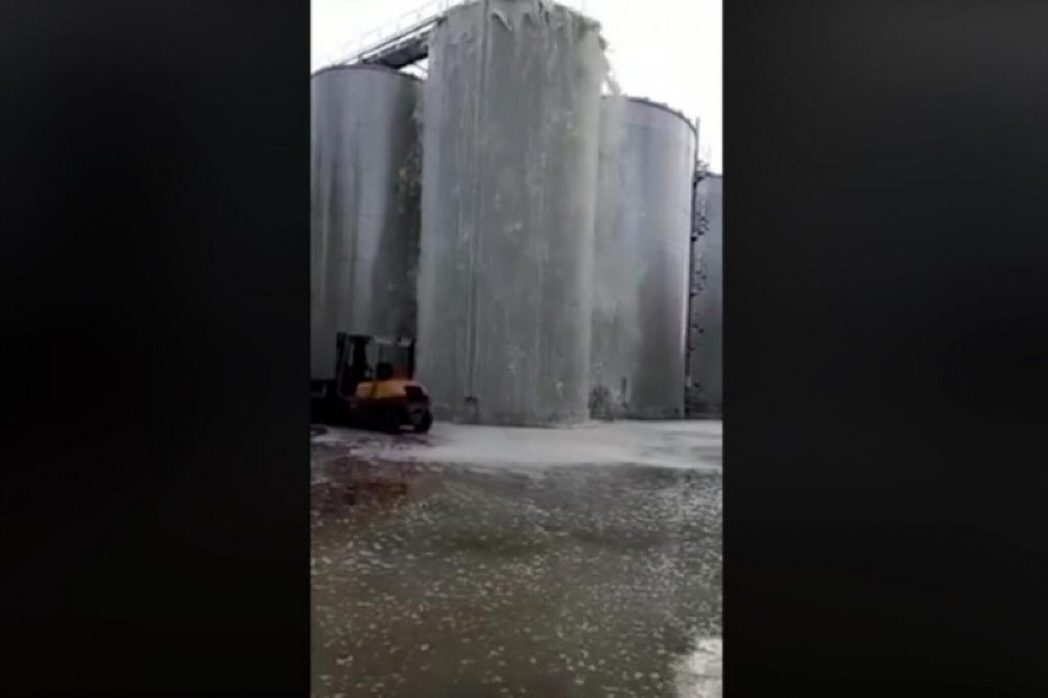 DC1K4-1637273-proseko-ls