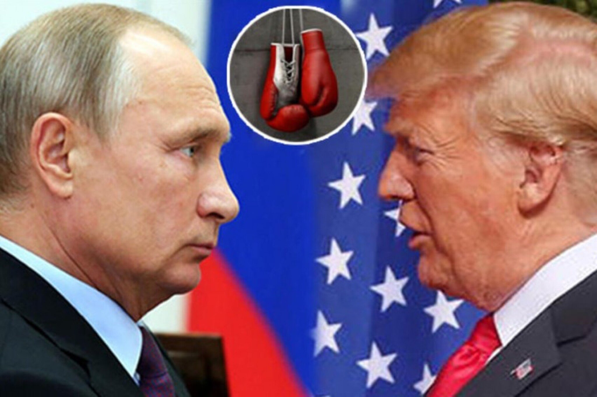 nK8nP-1637411-gjgj-ls