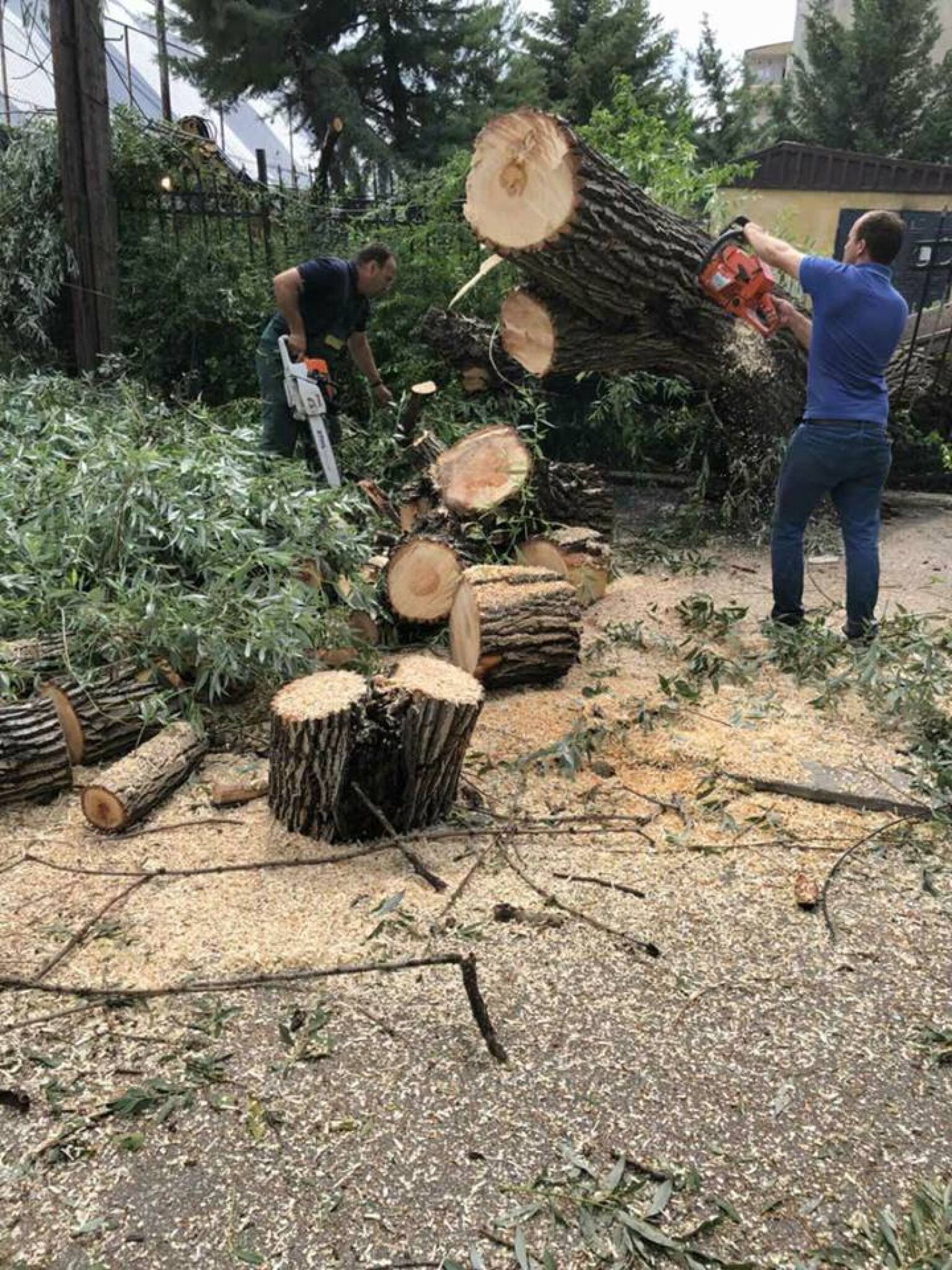 35052128_1007191659430856_2549064219752398848_n