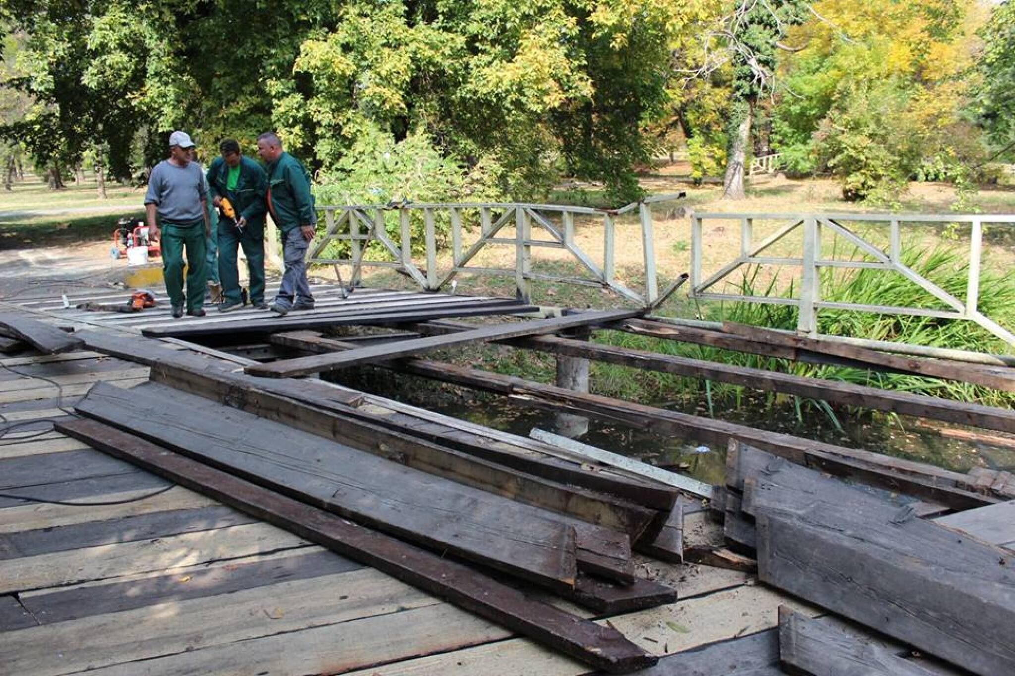 43127964_1111935778956443_6401027543503208448_n