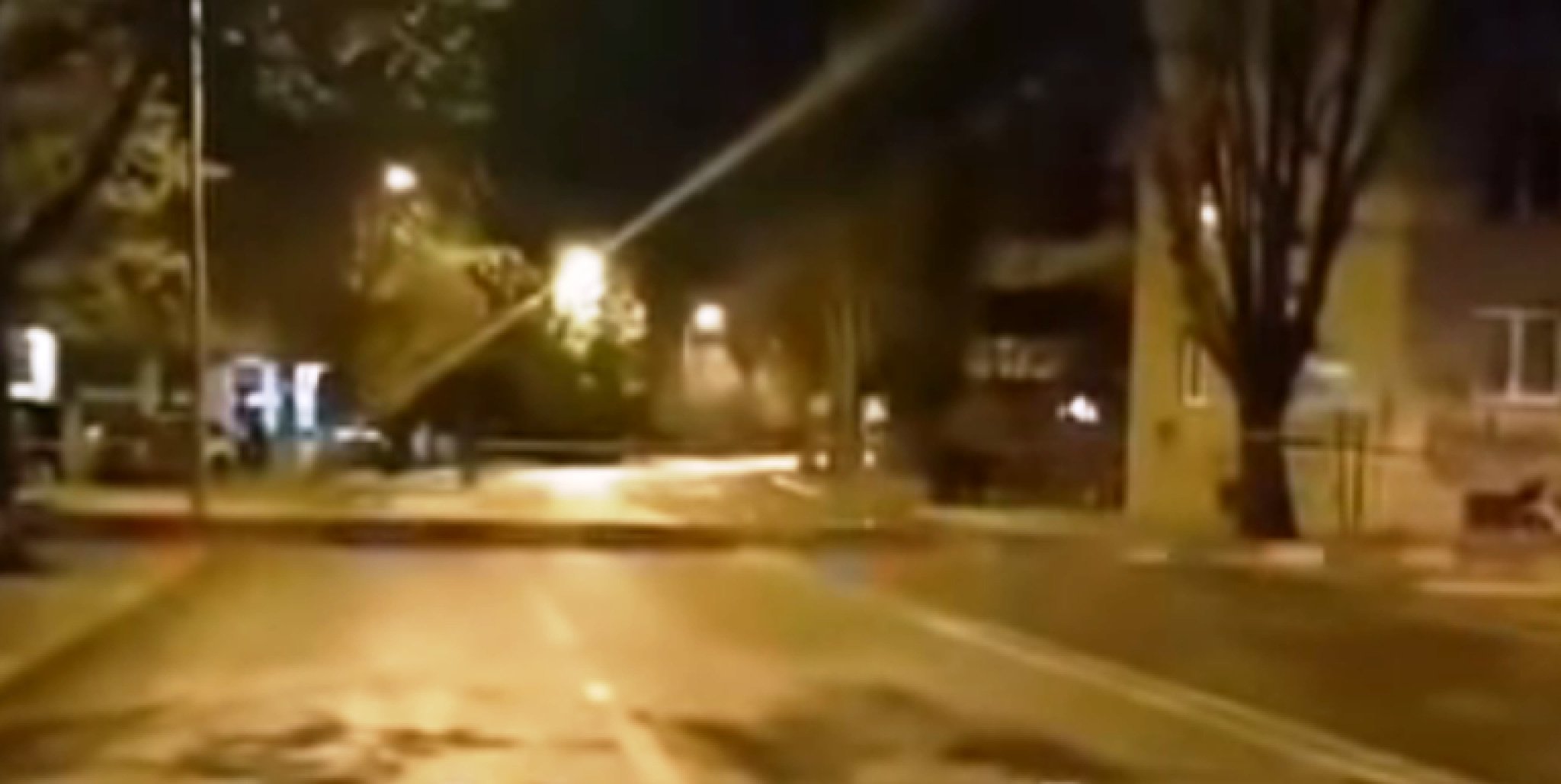 42686408_237159766953508_3423442157317390336_n