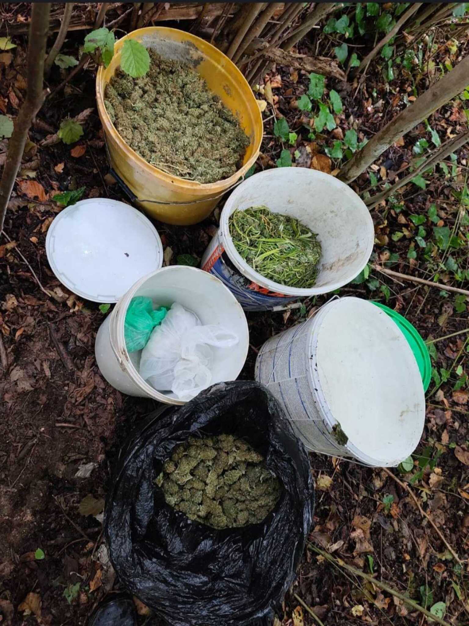 media-librarymqmp6g0rf7nc3xPkWLk