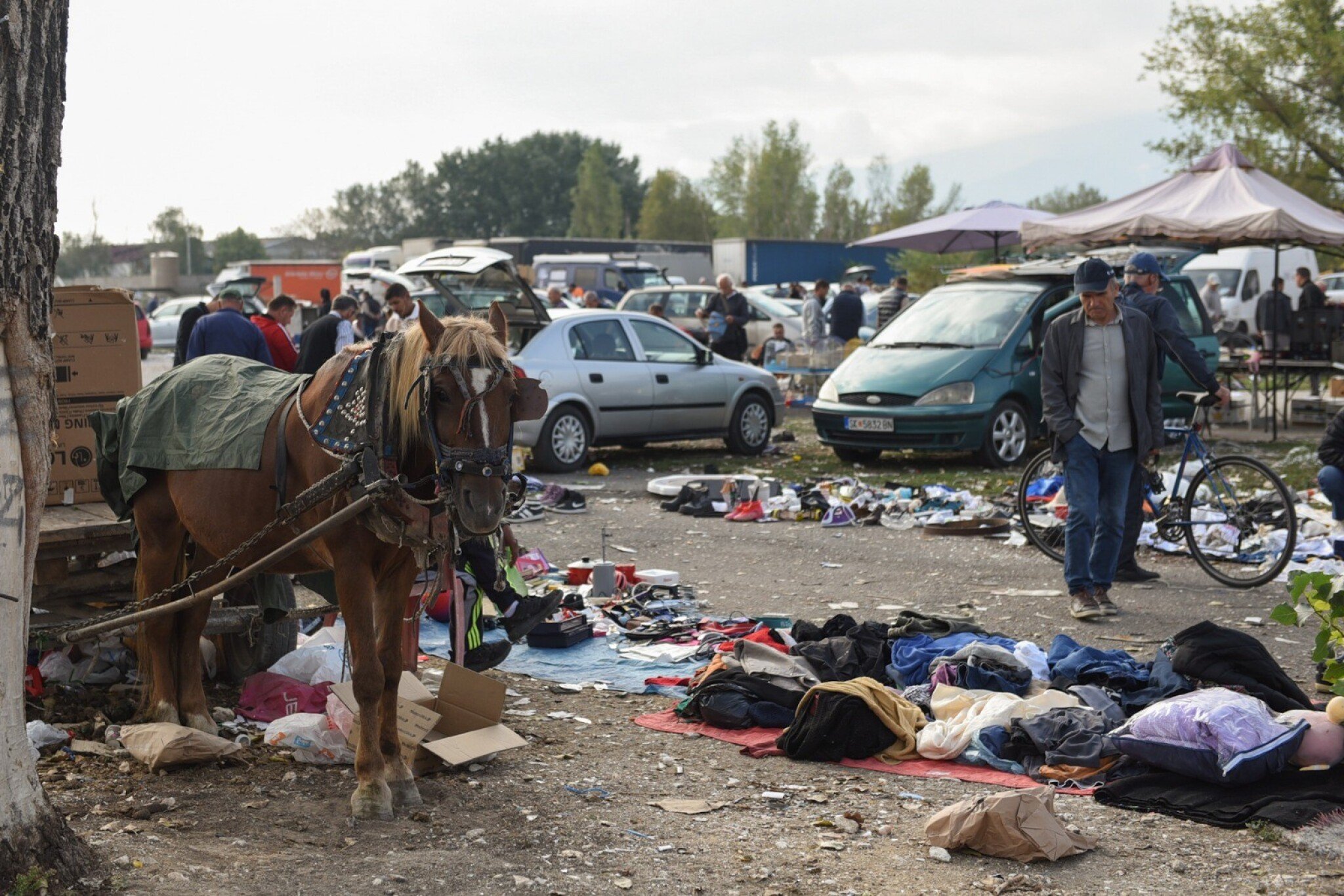 media-libraryo55v9uu0mk91eXX3OCC