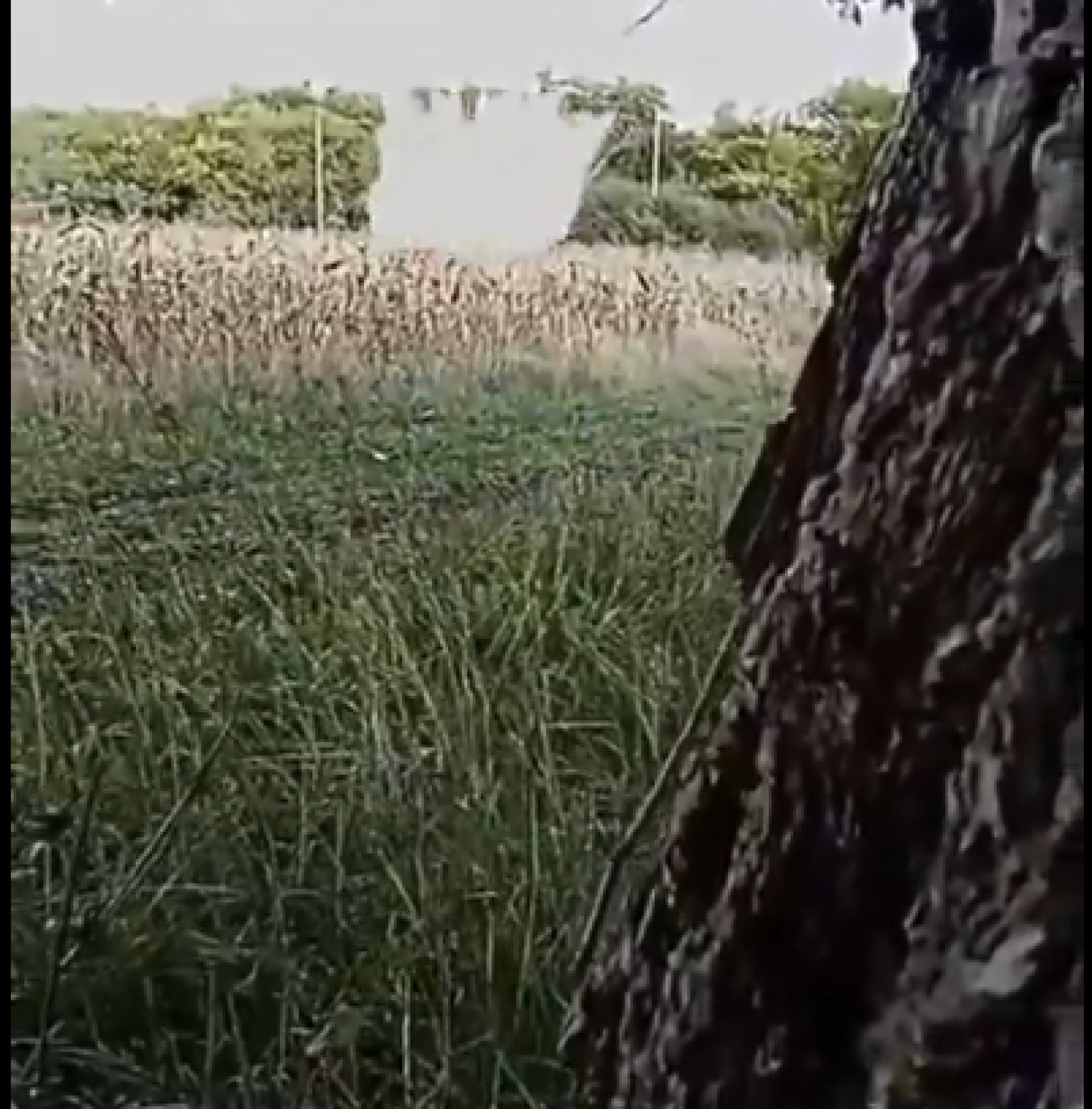 media-library09ng6mts05ql6JzEdWS