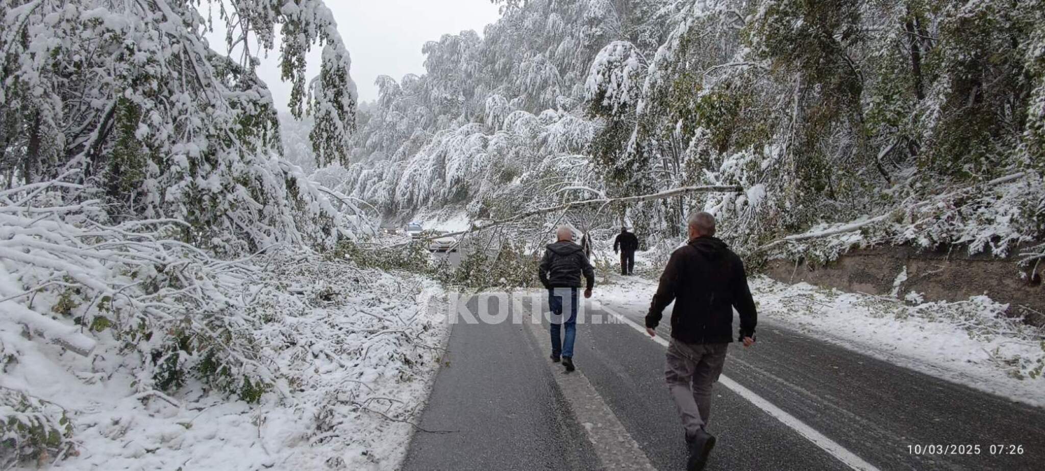 media-librarye35hcikj9c8h1ypVqdD