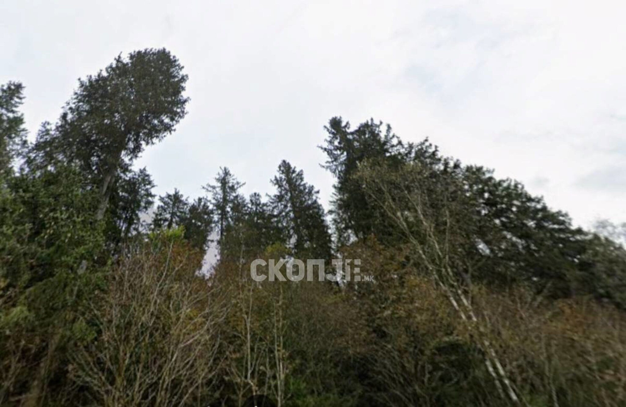 media-library208uclcjpklg1Qw7d7P