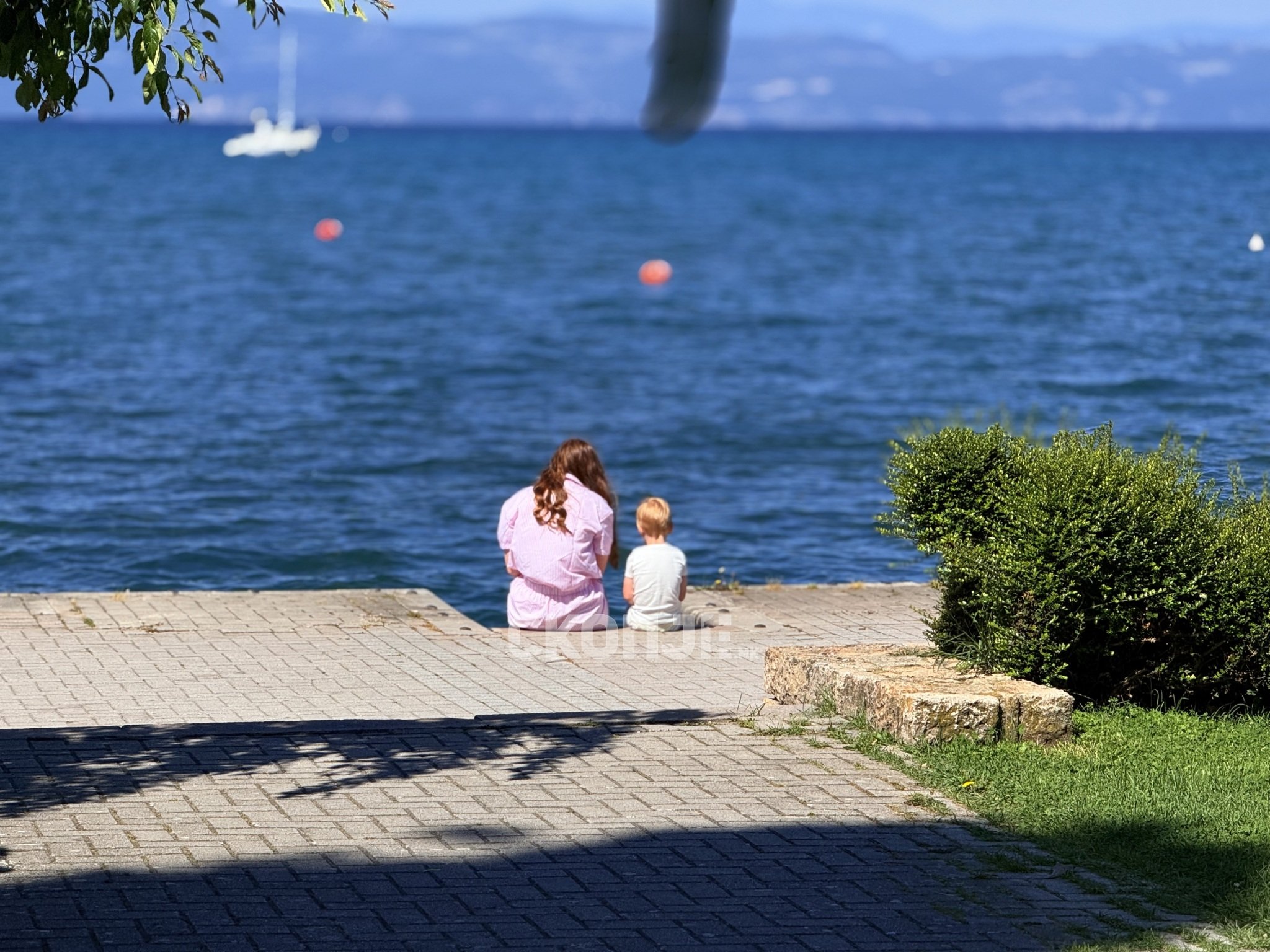 media-libraryjp26act66n03bCaV9r6