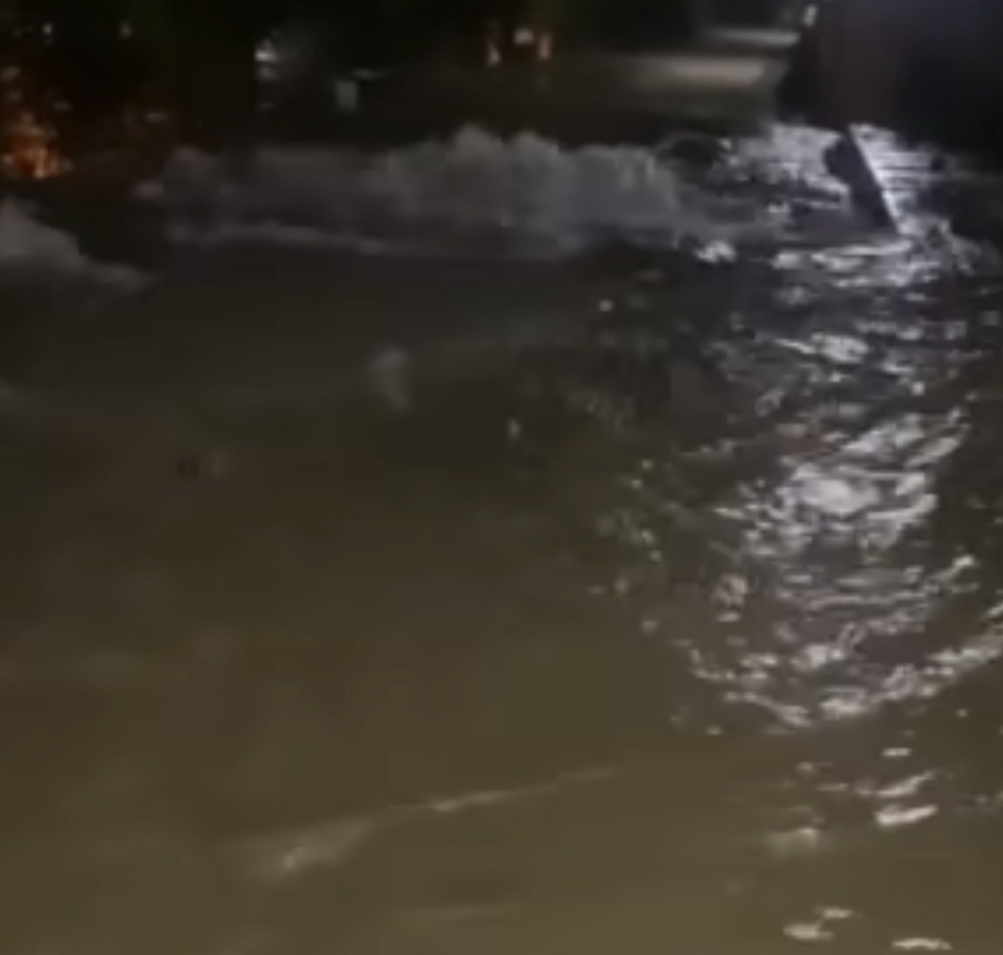 media-library55r141dsruck4NF1hnc