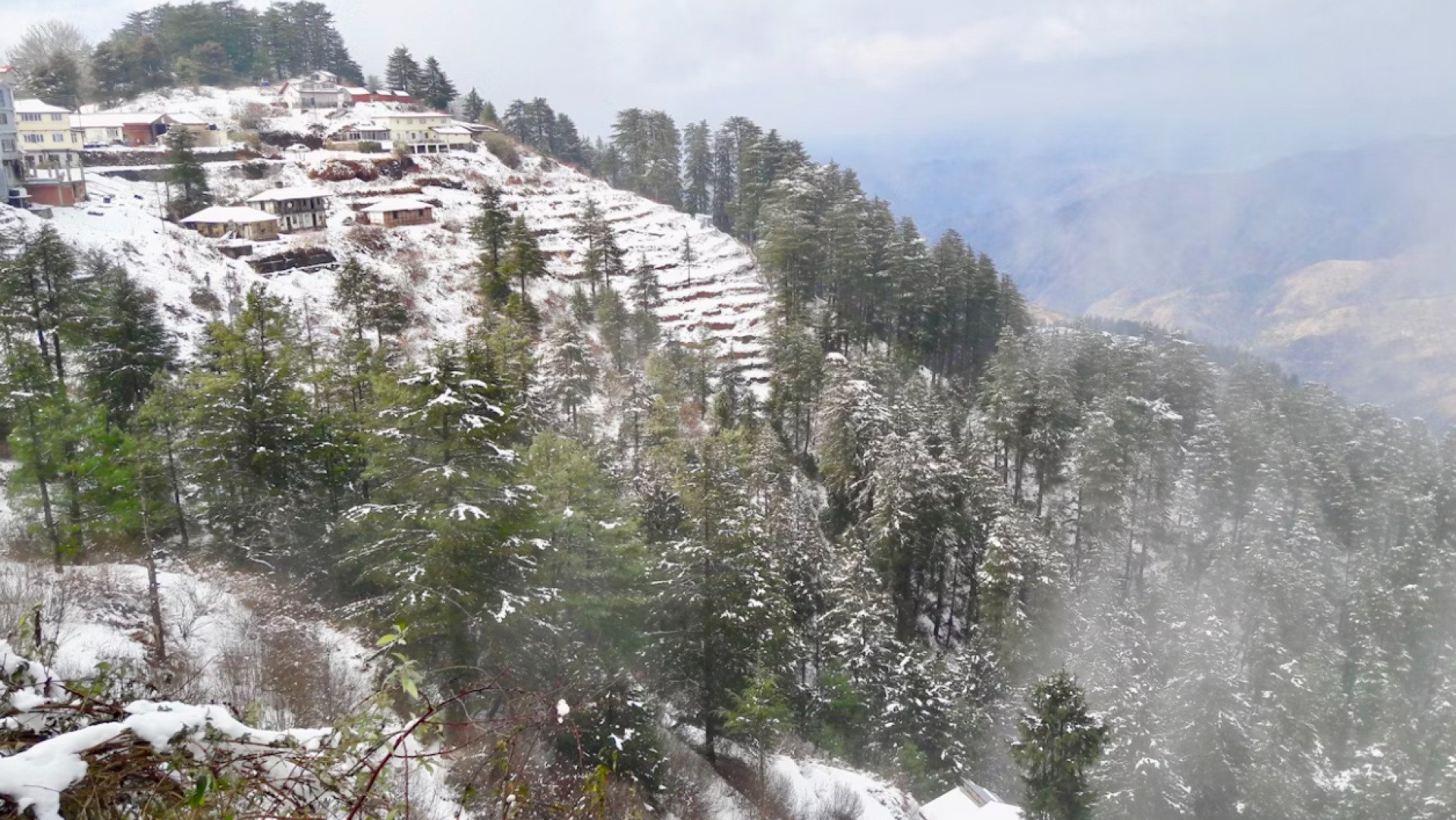 media-librarymfddl3ikr81fbsxame5