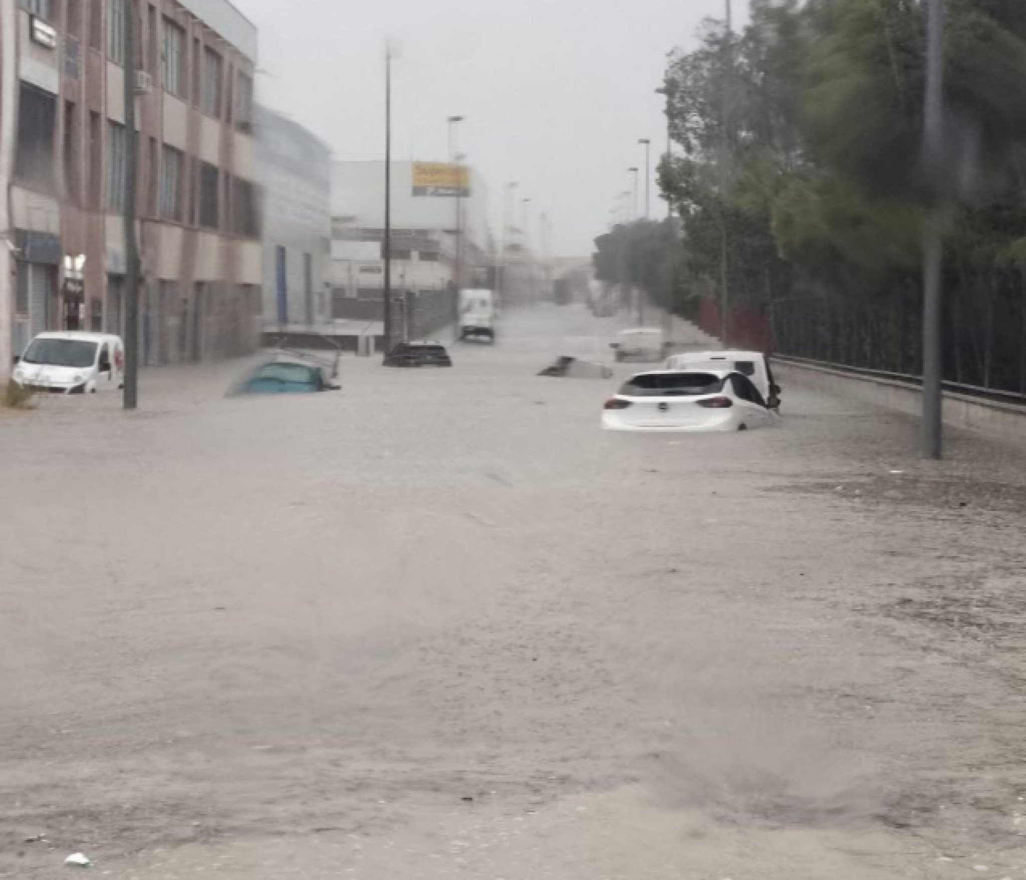 media-libraryhq309e9qu65t1jOZfqZ