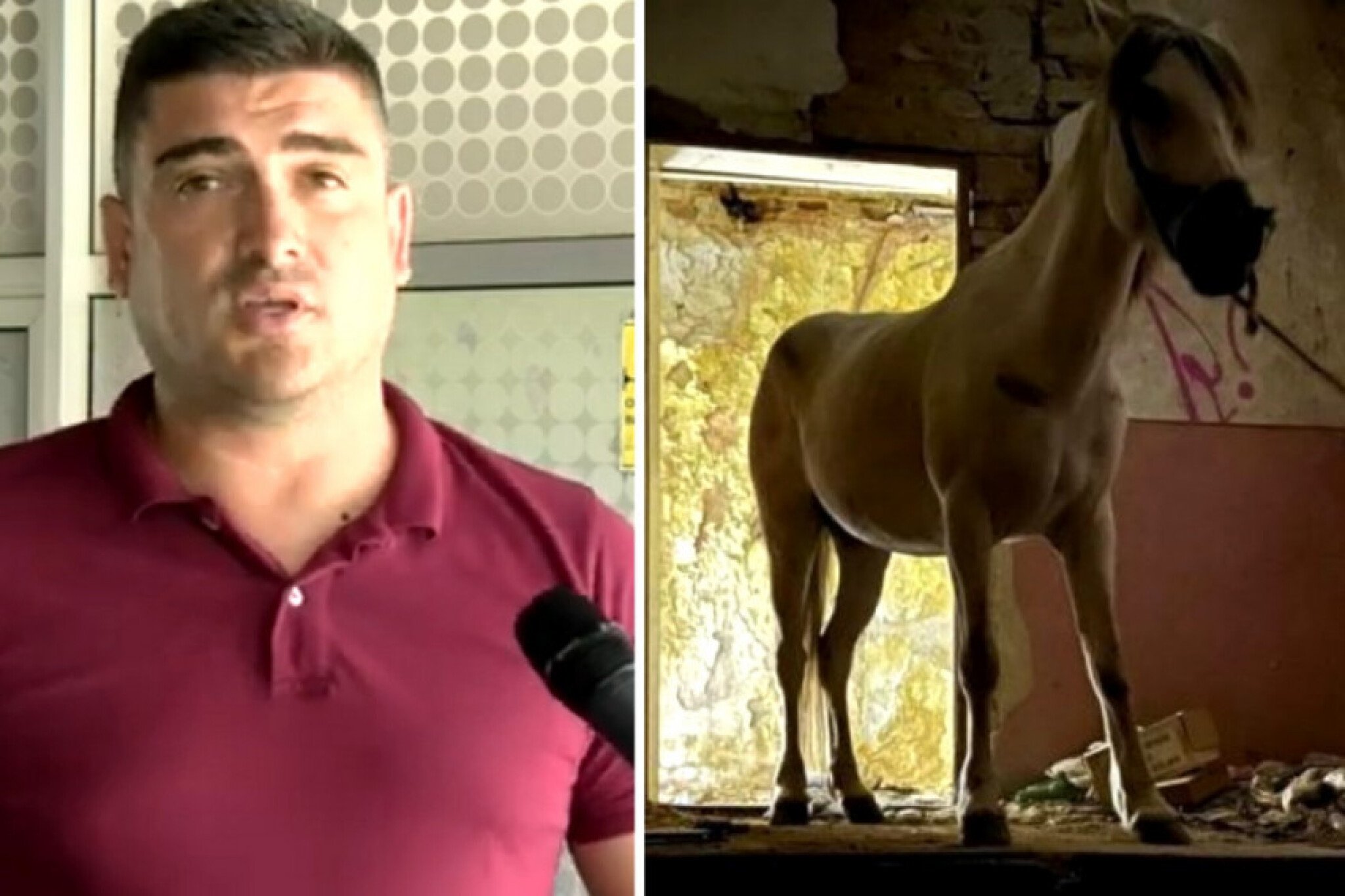 media-libraryuaro3bt3pc6nf0WY4xQ