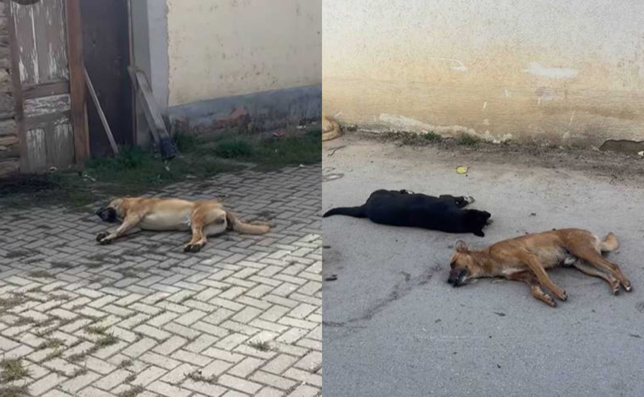 media-libraryv2jast3rci54ba5k0OO