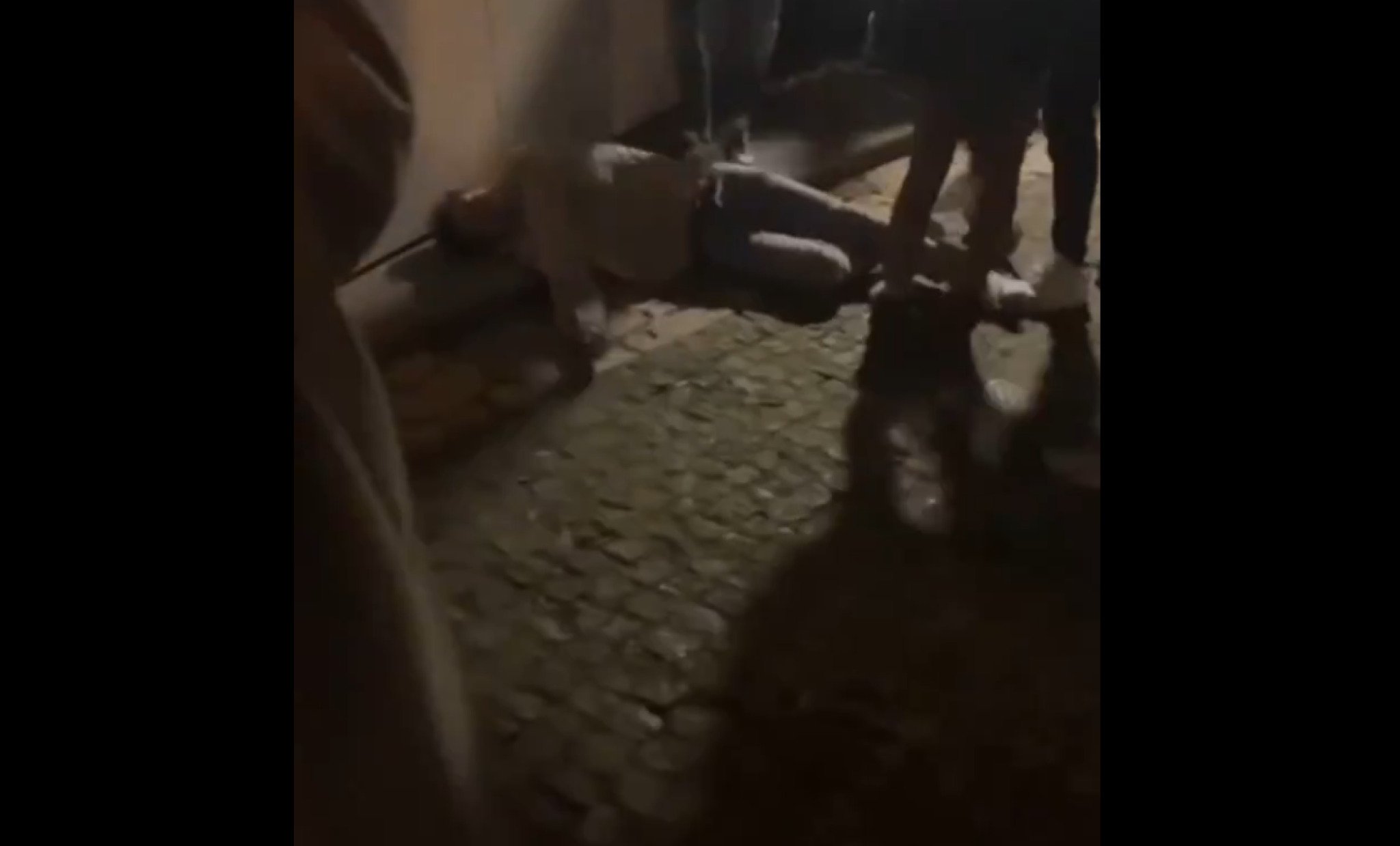 media-library28od03qp8lvpdDJBV0P